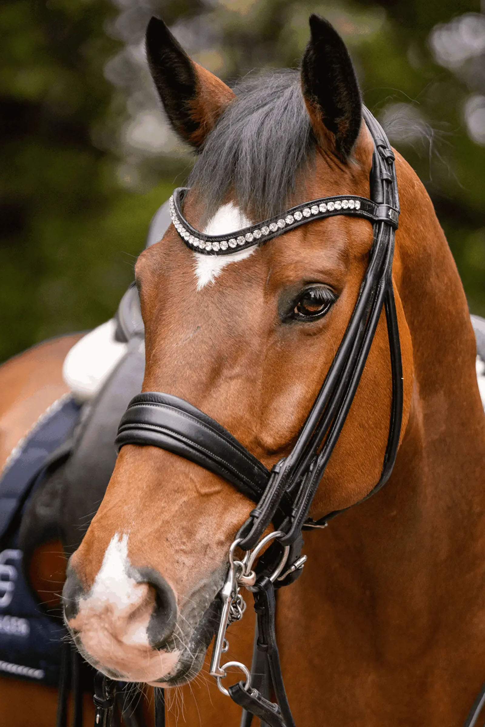 Sprenger Novocontact Weymouth 14mm Sensogan con ramas de acero inoxidable de 7cm