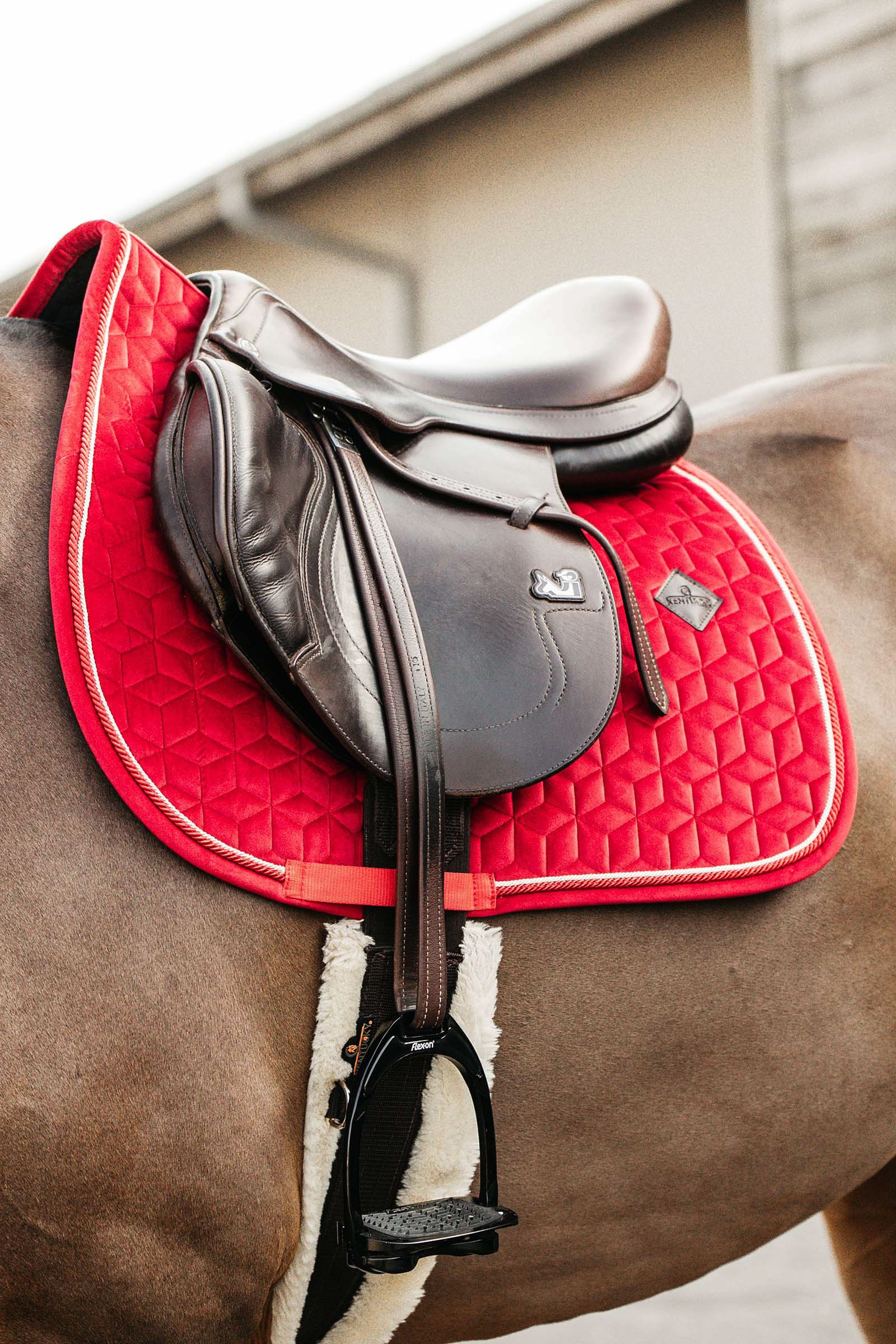 Kentucky Horsewear Velvet Mantilla de Salto 