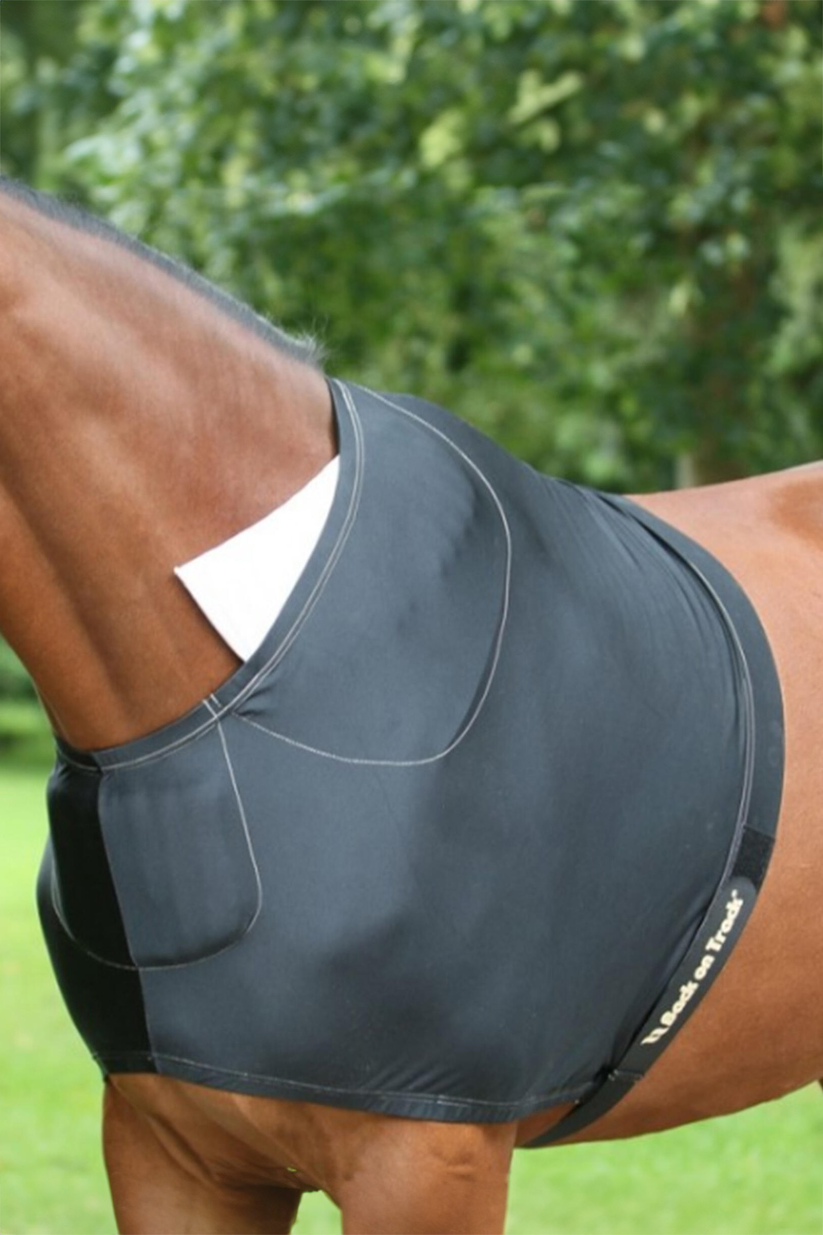 Protector de Hombro Back on Track