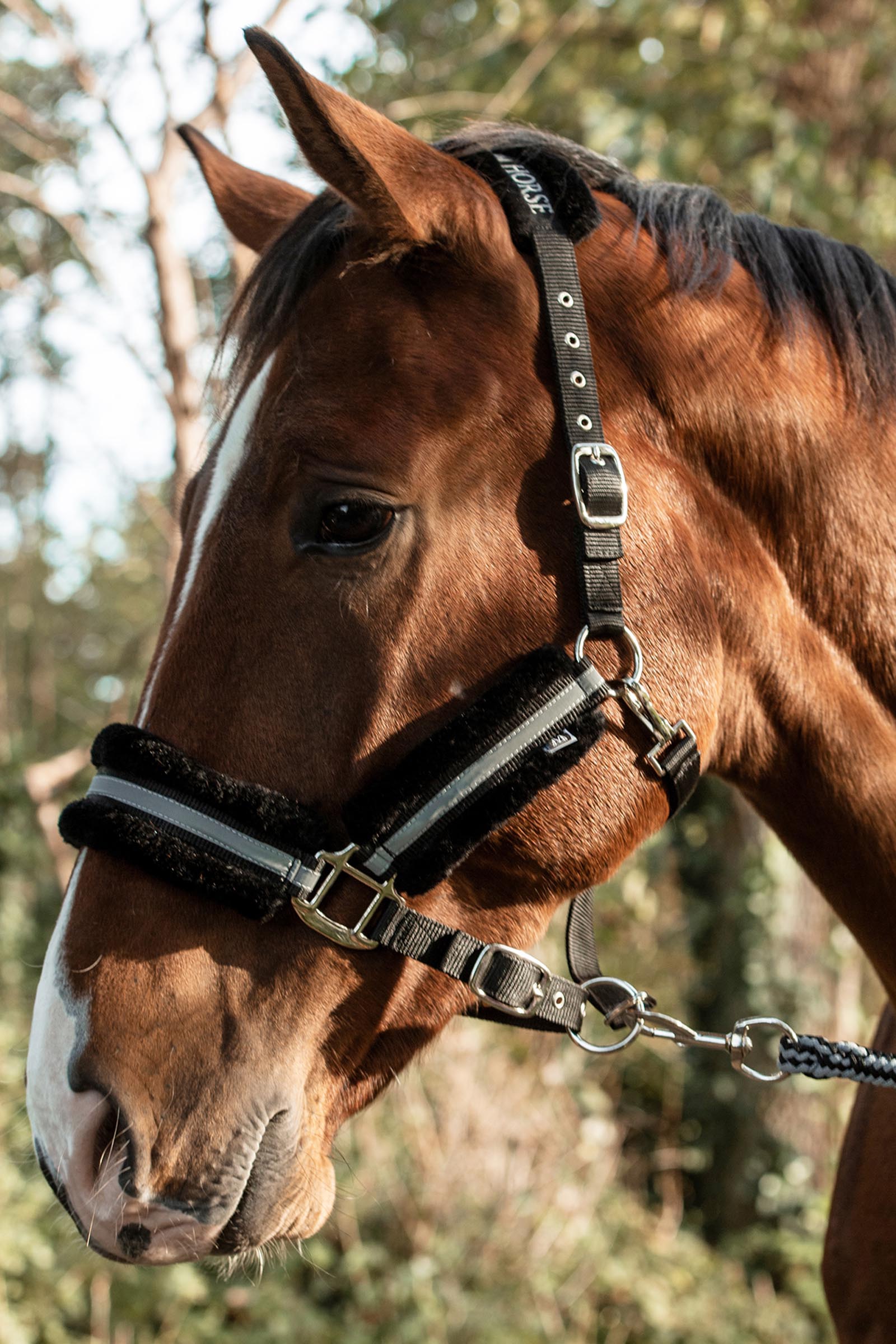 Mountain Horse cabestro ajustable con pelo sint&eacute;tico