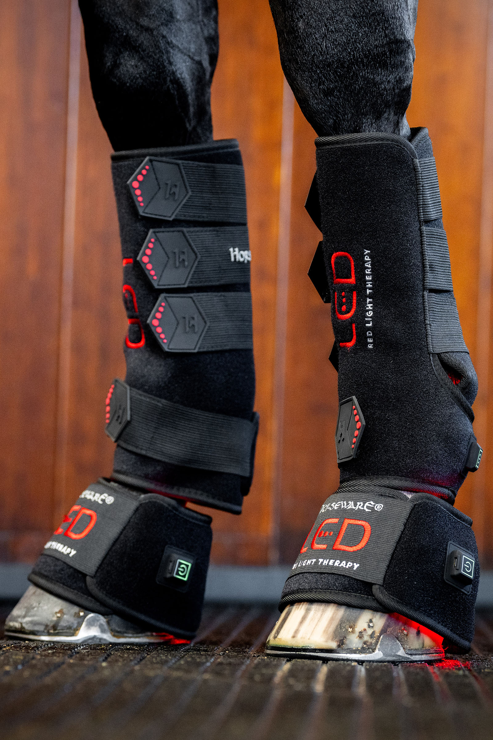 Horseware protector terapéutico LED de luz roja (1 ud.)