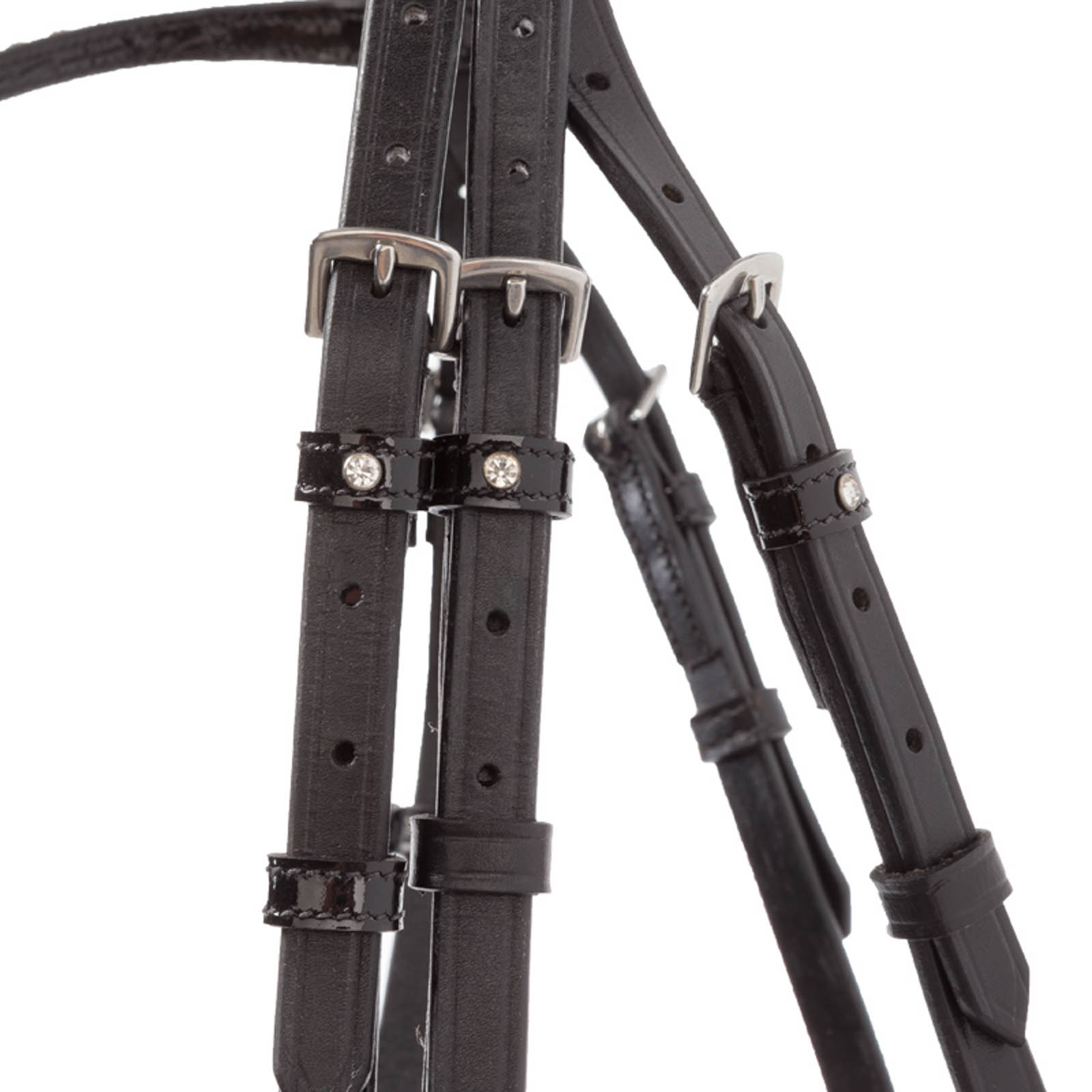 Cabezada Kavalkade Reyna KavalSH4