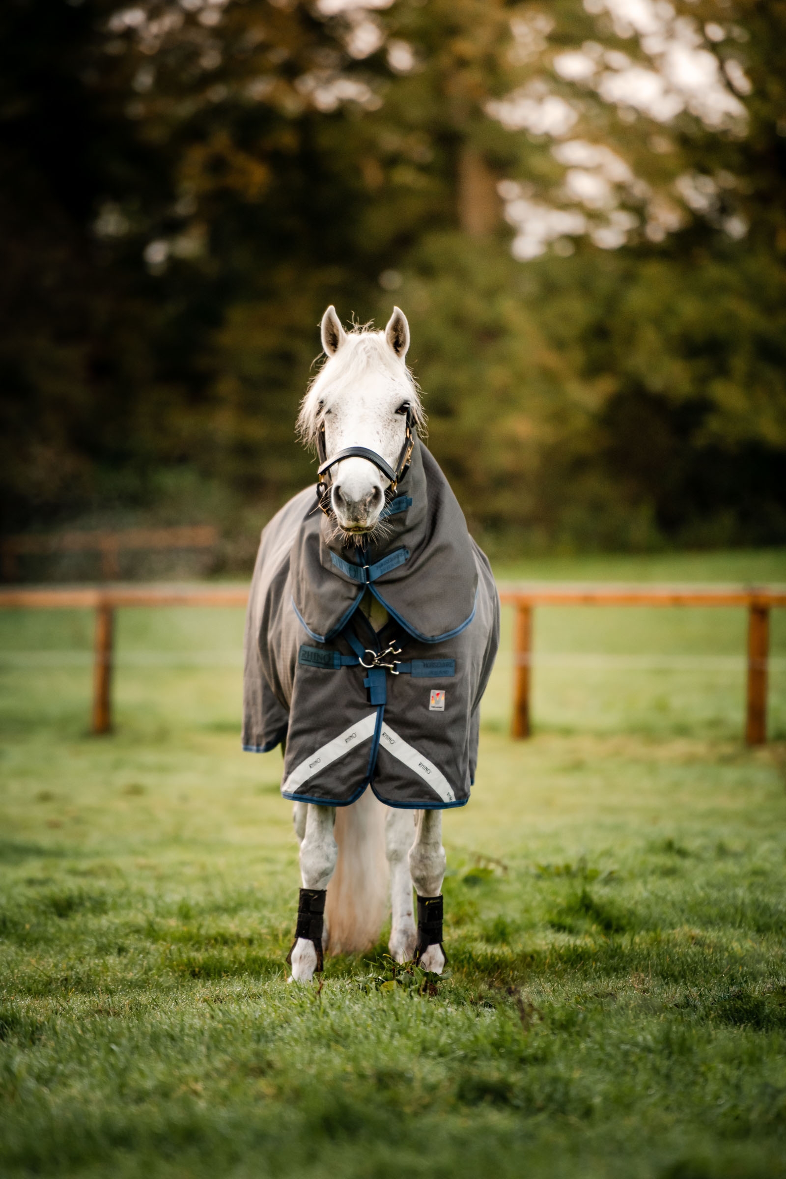 Manta De Exterior Múltiple Capa Horseware Rhino Hexstop Plus, 250g