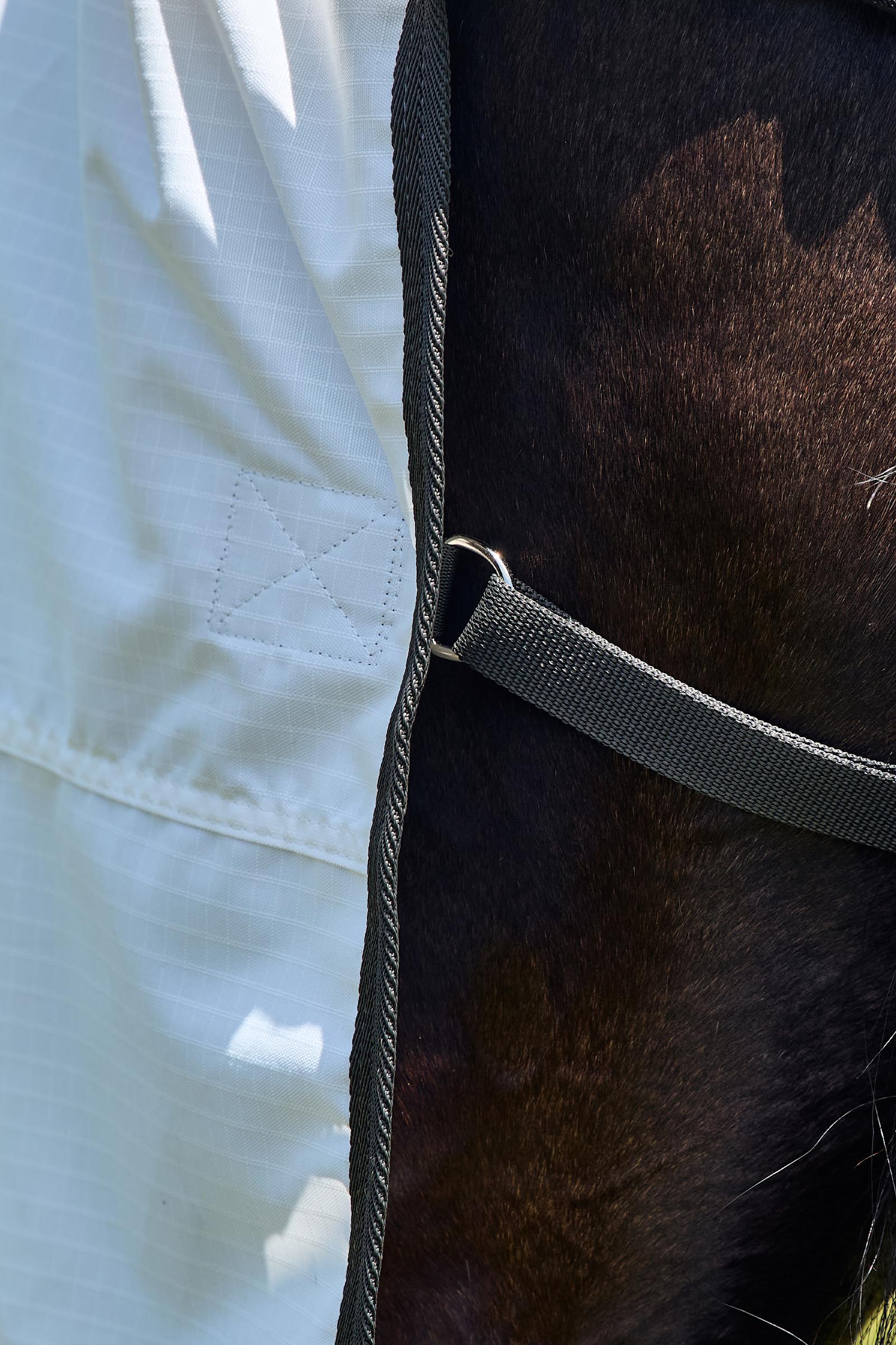 Weatherbeeta ComFiTec Sweet Itch Shield Manta antimoscas combo con cuello fijo, 0 g  