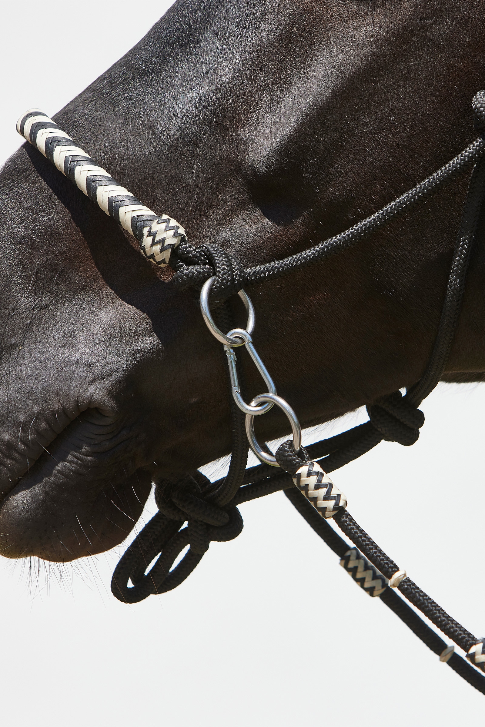 Cabestro de cuerda Kieffer Enya