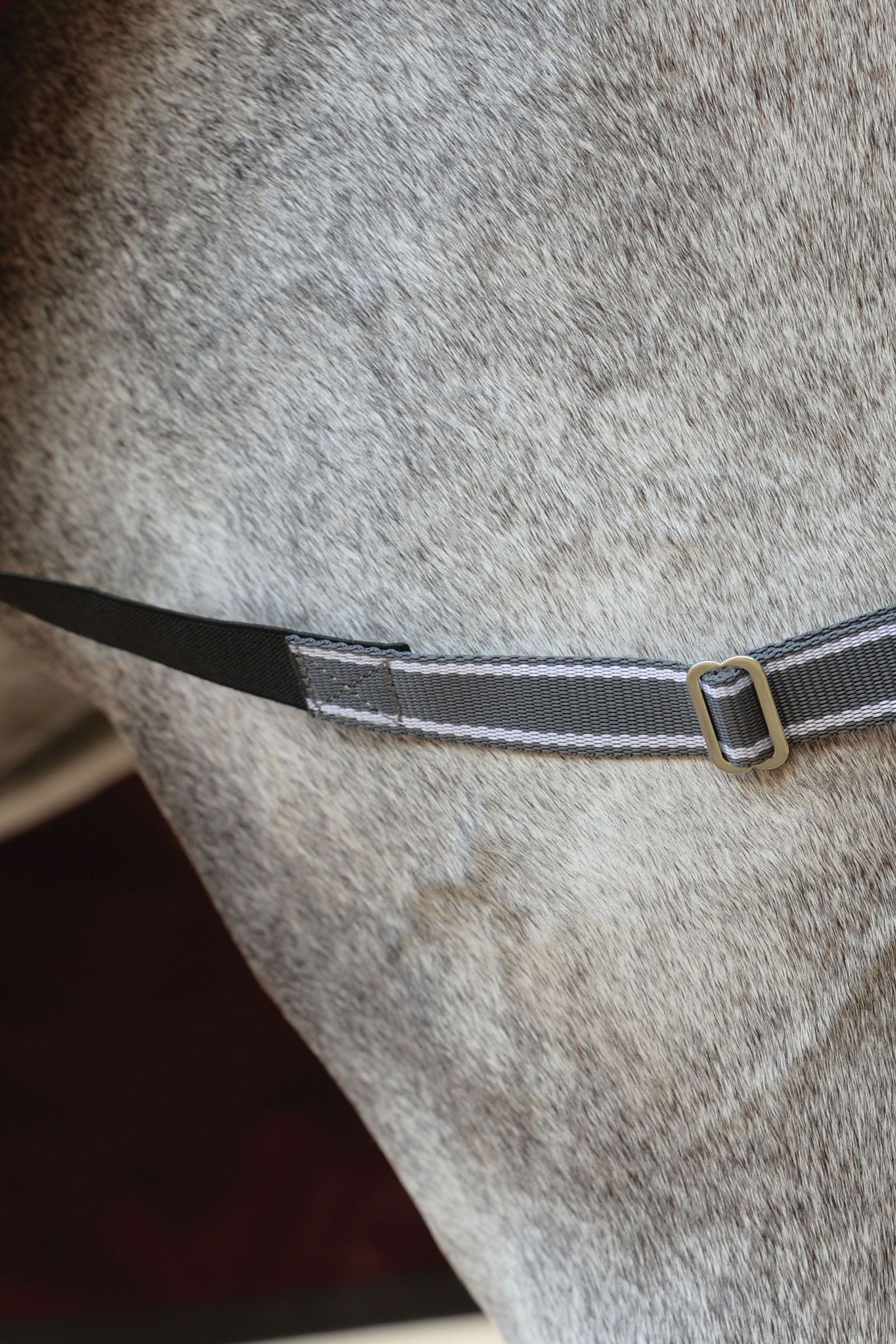 Manta de Exterior con Cubre Cuello Combo Weatherbeeta Comfitec Plus Dynamic II, 220g