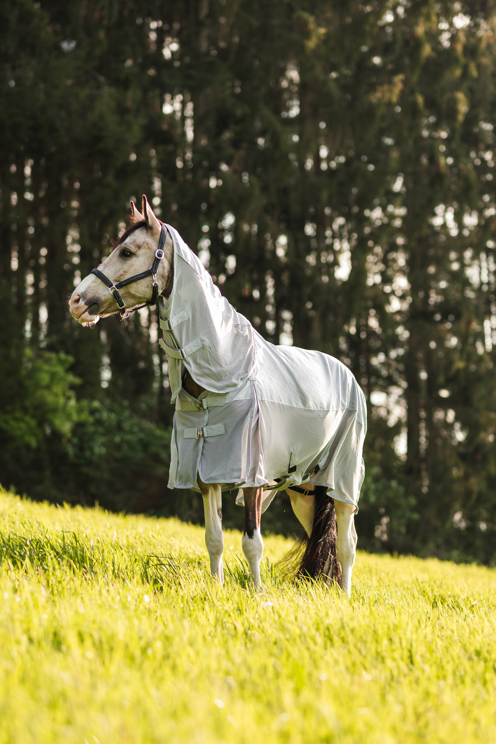 HorzeNevada Manta de Lluvia/ Anti-Mosca Combo