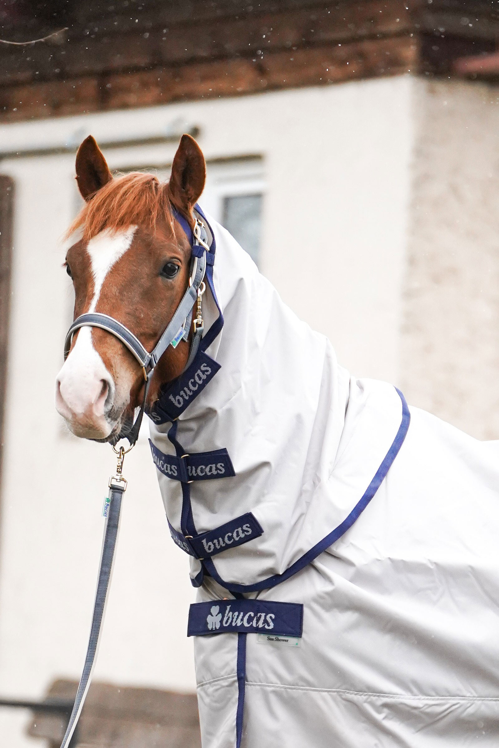 Bucas Sun Shower Cubre Cuello, 0 g