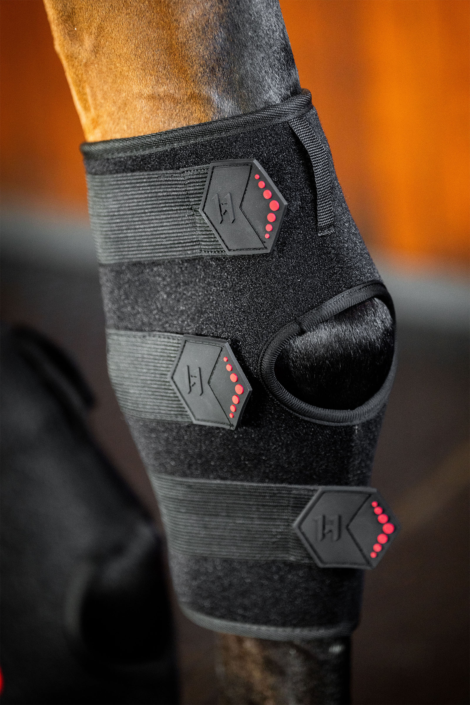 Horseware protector terap&eacute;utico LED de luz roja para corvej&oacute;n (1 ud.)