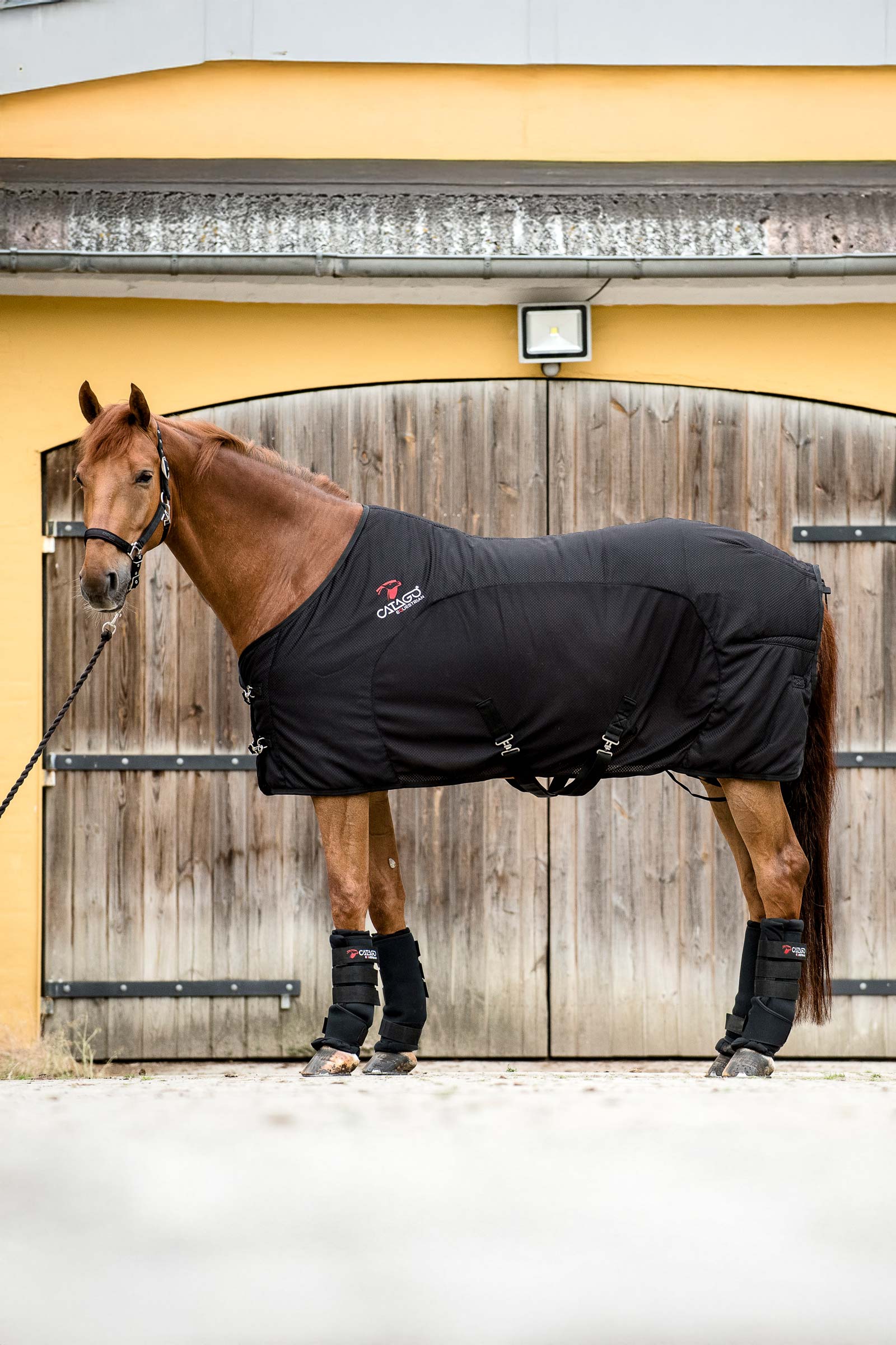 Manta CATAGO FIR-Tech