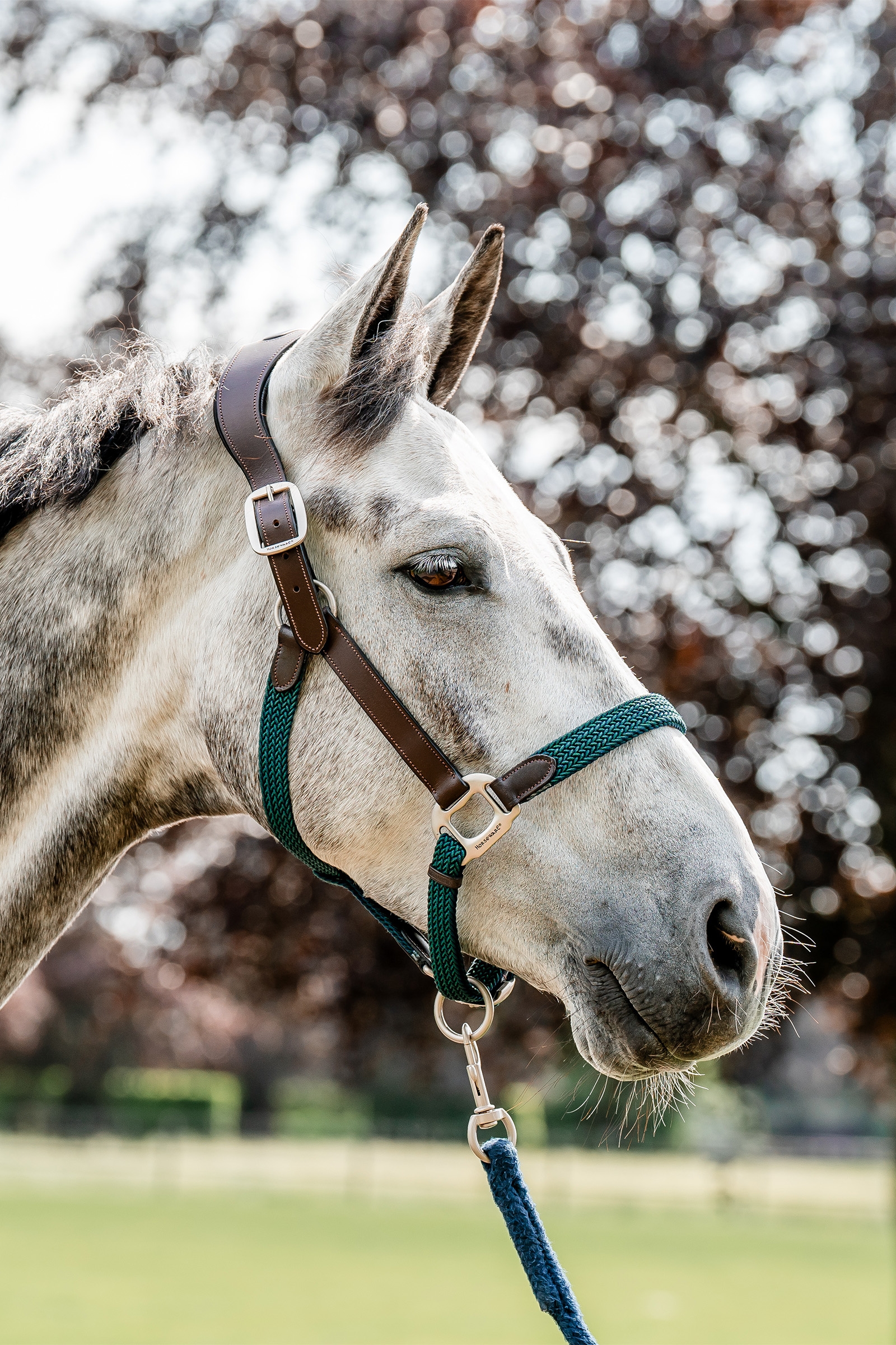 Cabestro trenzado Horseware Signature