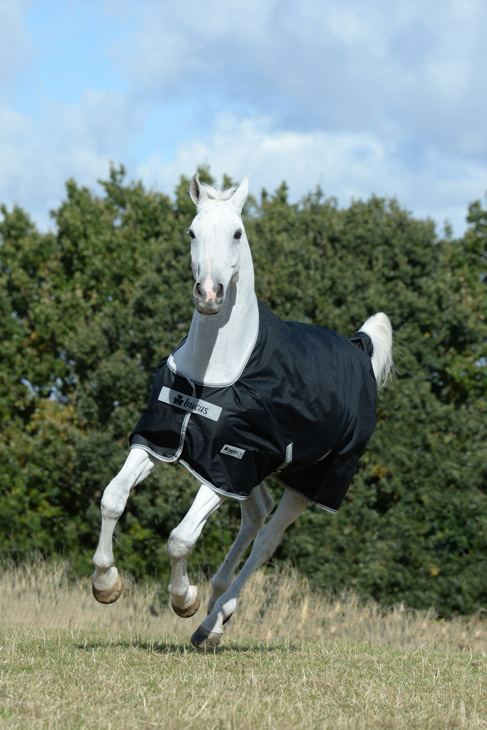 Bucas Anniversary SD manta de exterior impermeable ligera, 0g