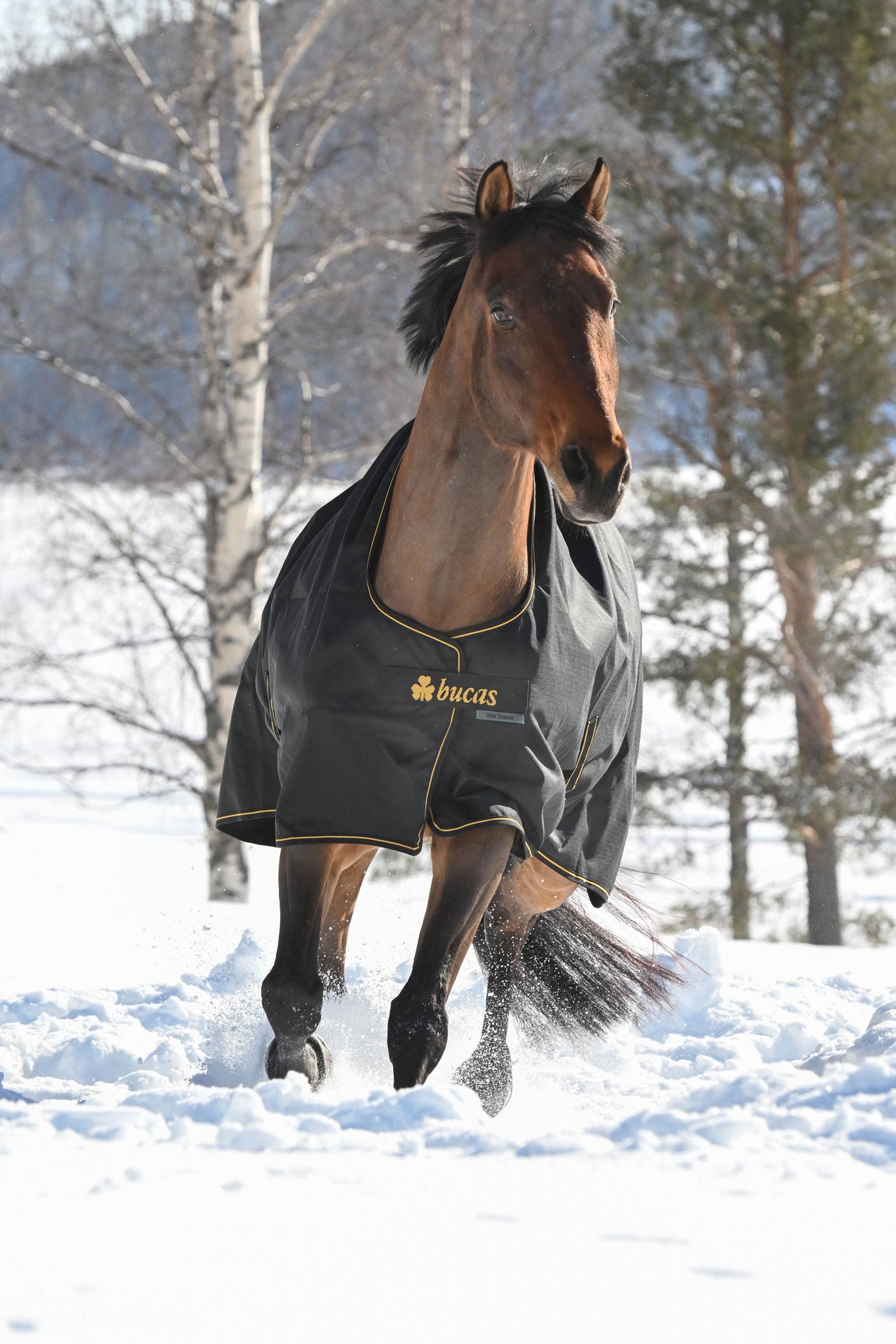 Bucas Irish manta de exterior, 300g