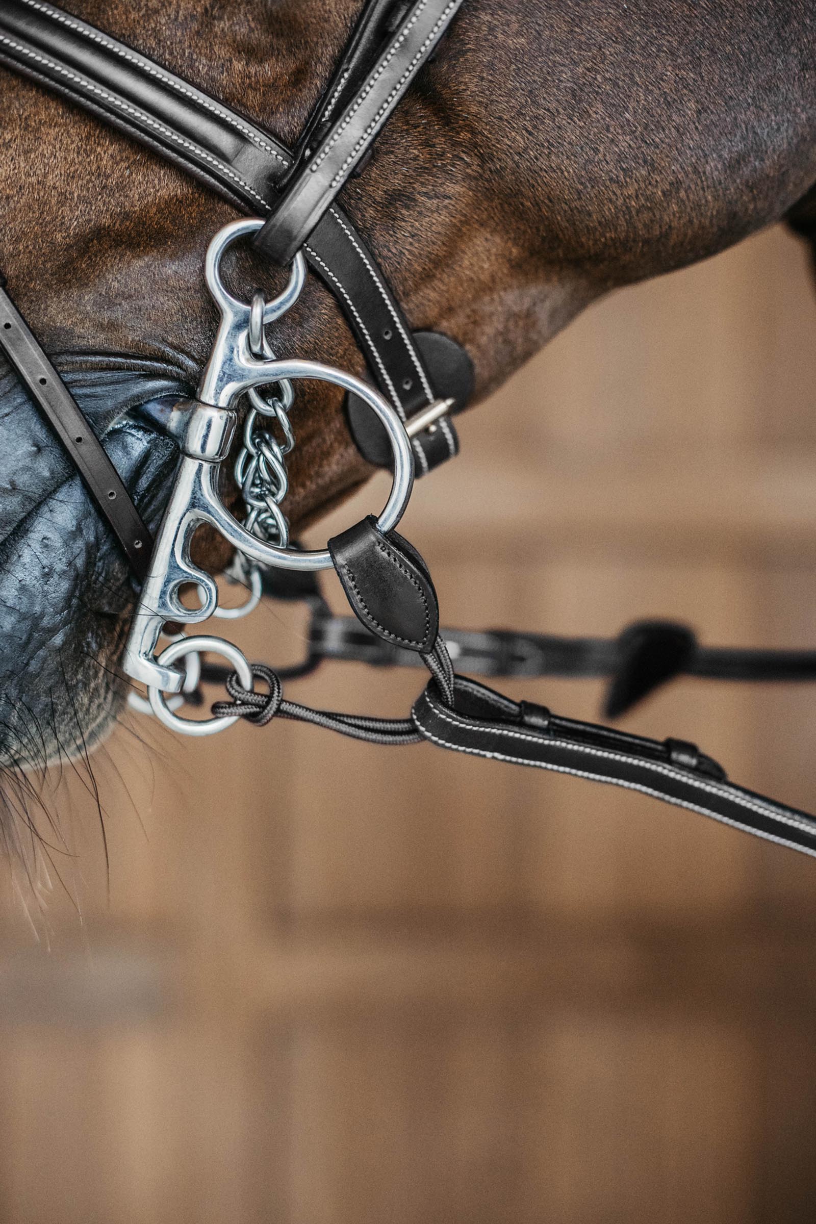 Dy'on correas pelham largas  