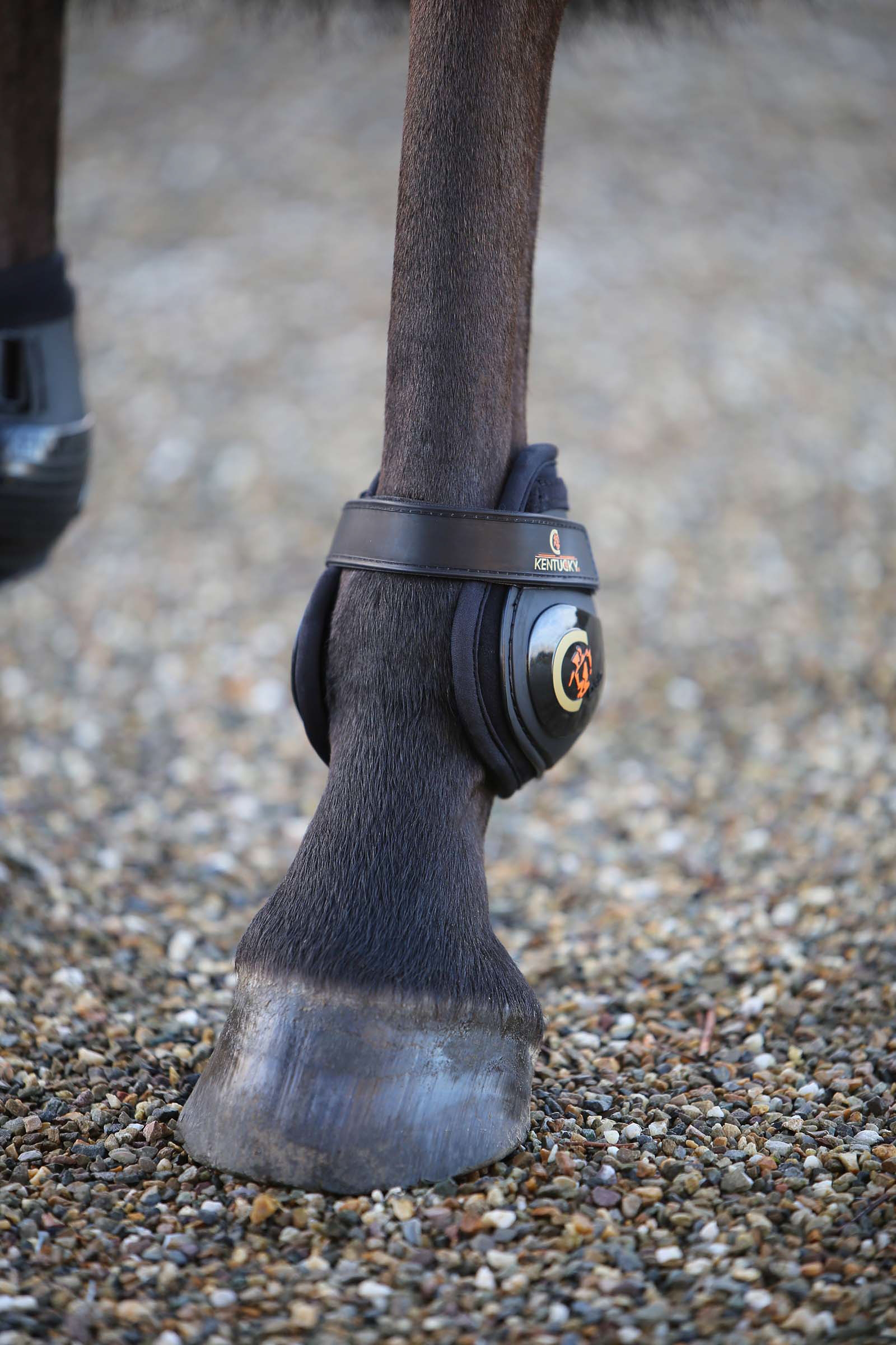 Kentucky Horsewear Moonboots, posterior