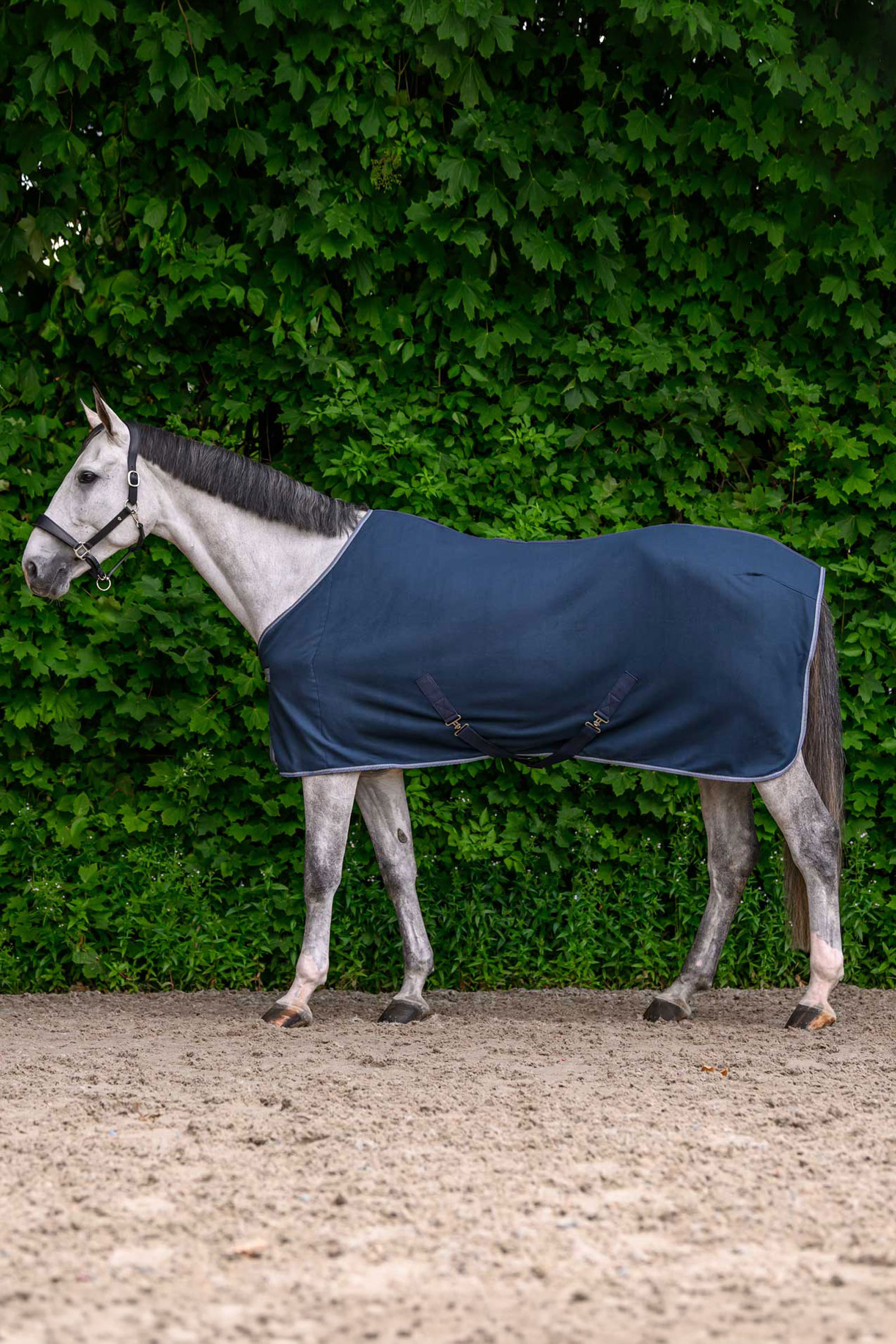 Waldhausen ECONOMIC manta polar con cinchas cruzadas