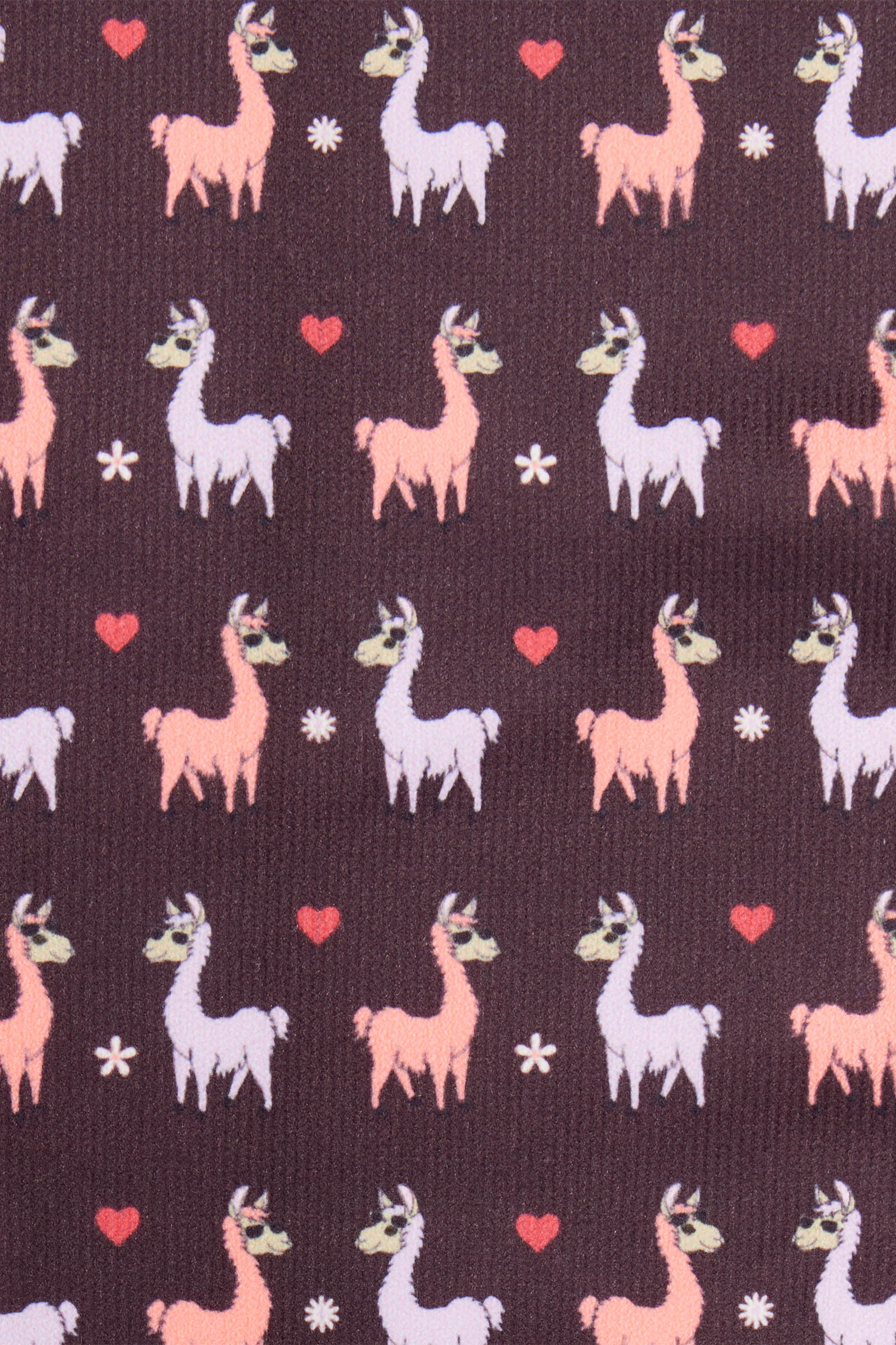 LeMieux Llamas Footsie calcetines