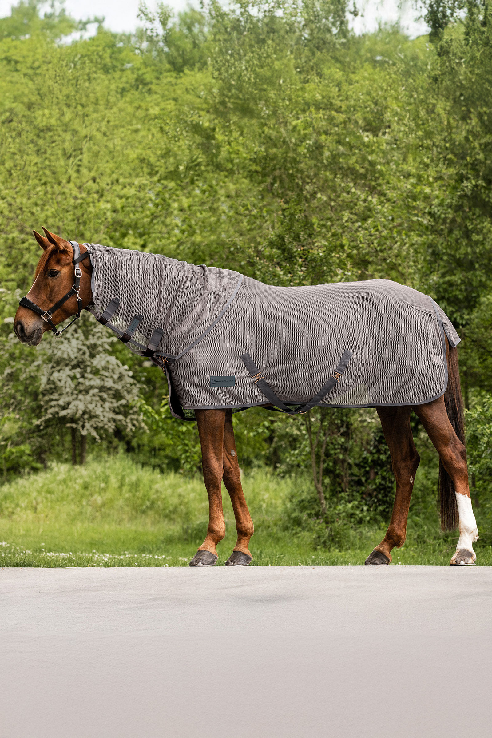 Waldhausen Comfort protector de cuello antimoscas