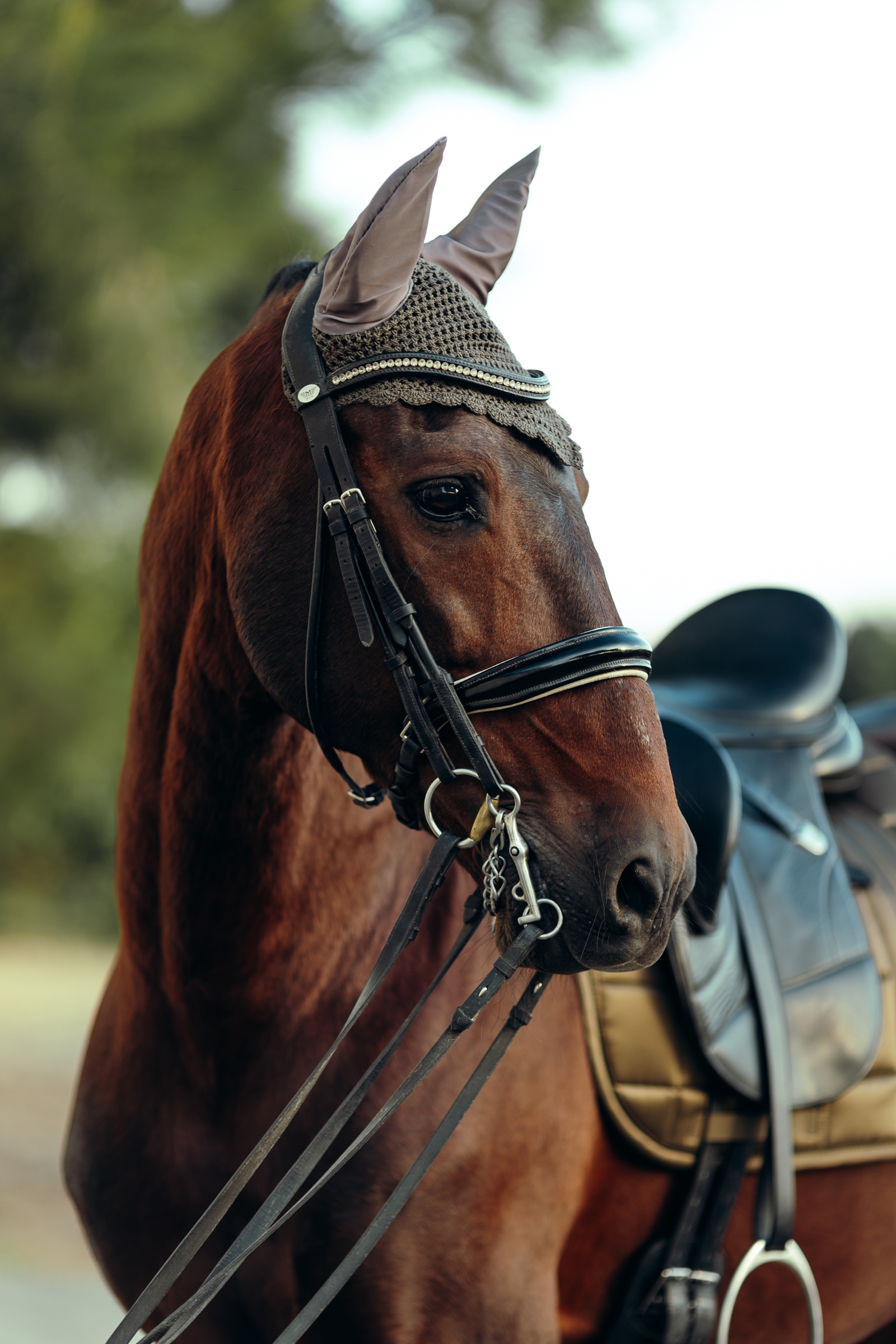 Orejeras B Vertigo Drew