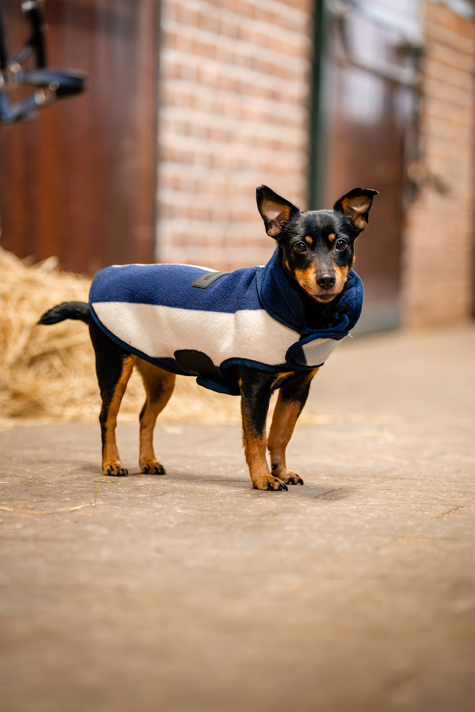 Manta de polar para perros Horseware Signature
