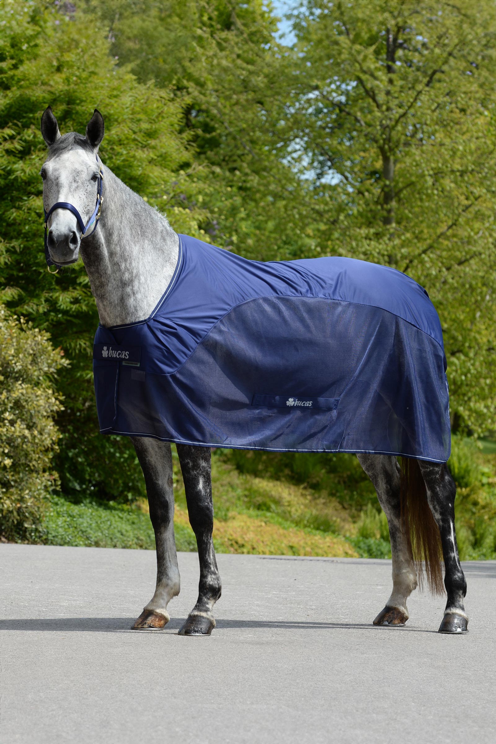 Bucas Competition Manta de Secado