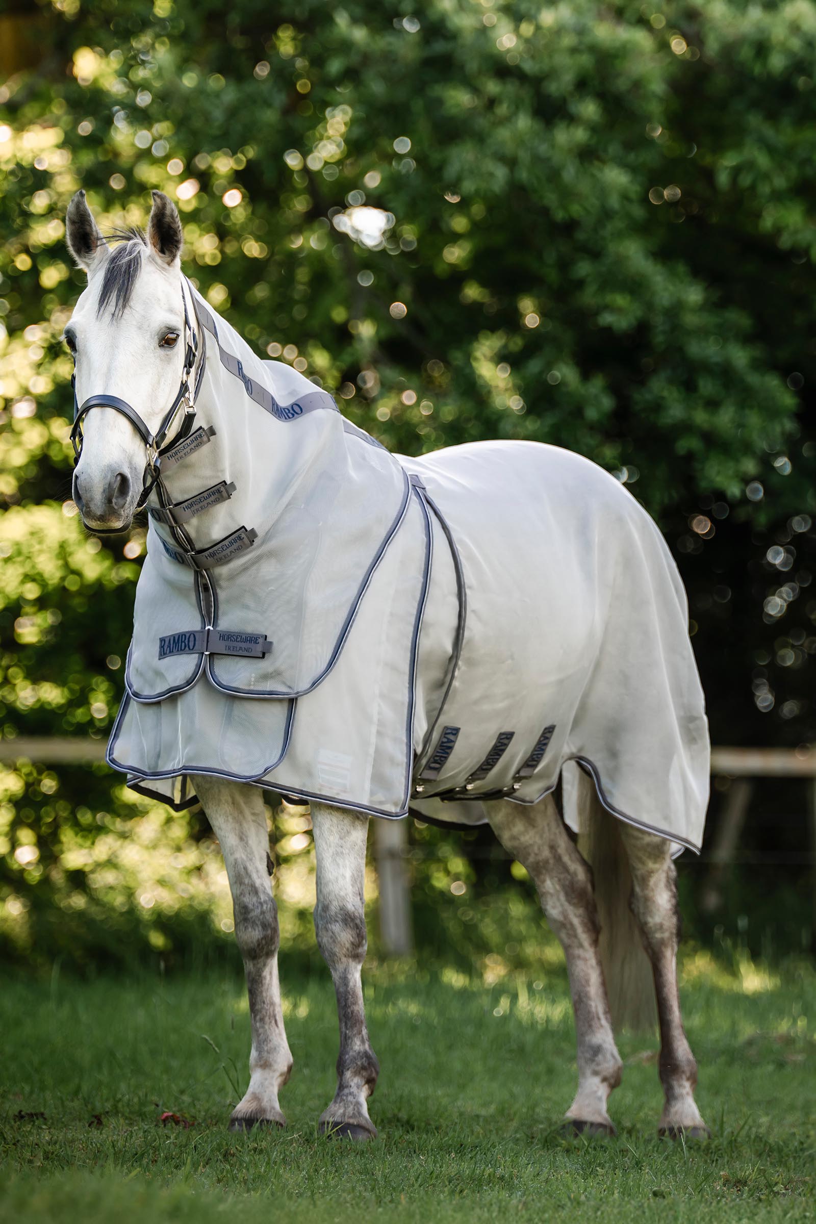 Horseware Rambo Optimo Protector Plus manta