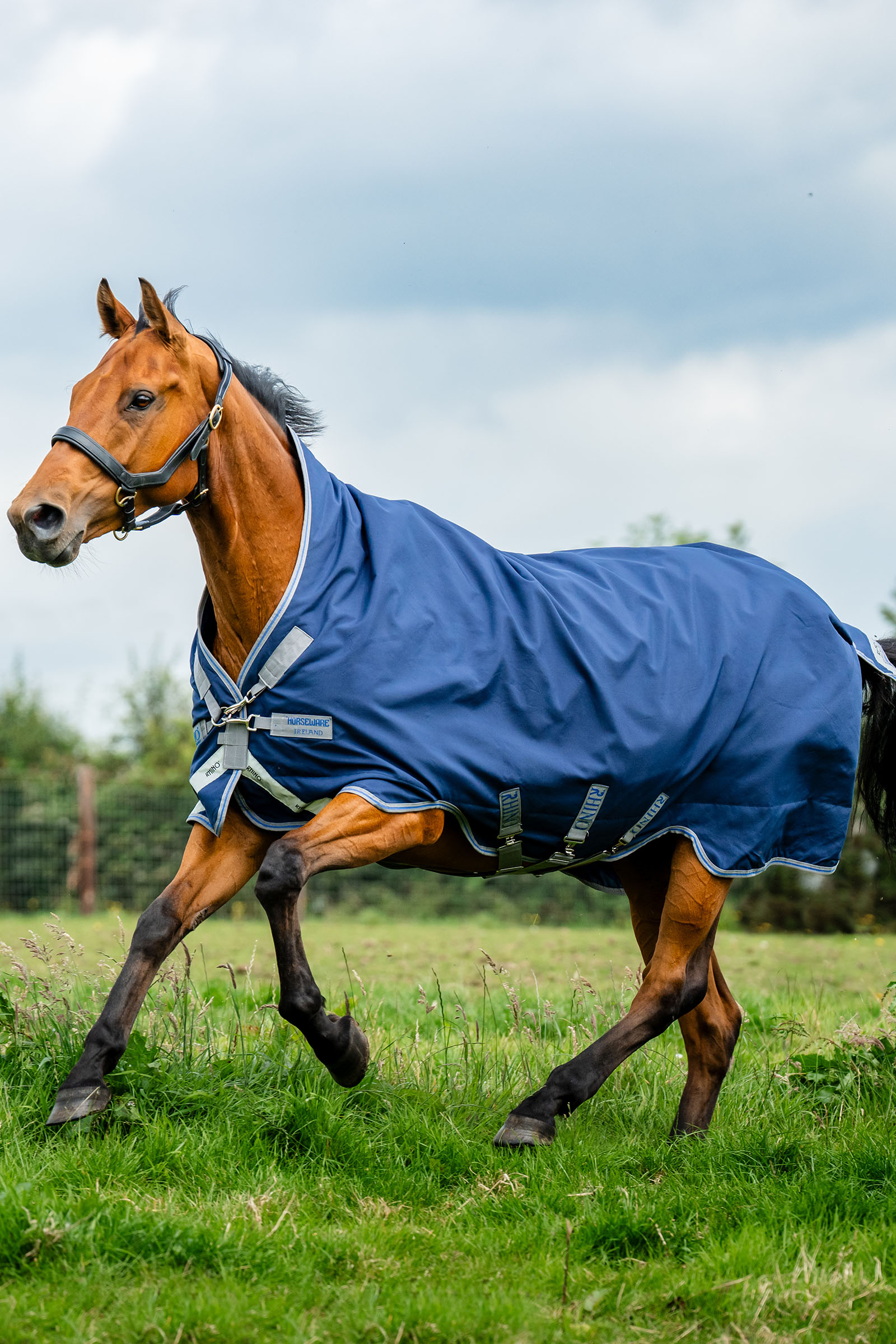 Navy/Titanium Grey & Classic Blue Horseware Rhino Wug manta de exterior, 100 g