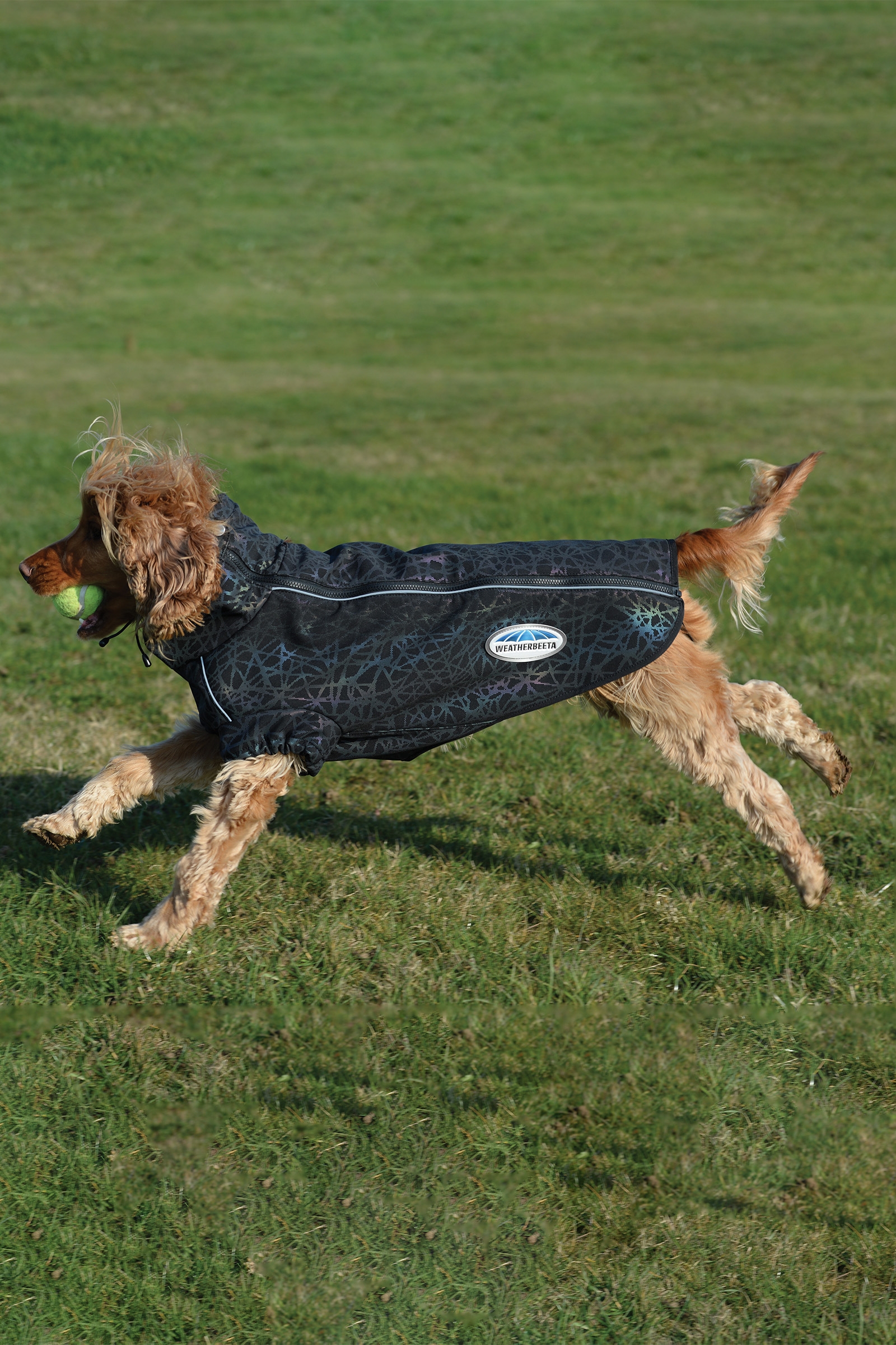 Abrigo para Perro Estampado Reflectante Activo Weatherbeeta Comfitec