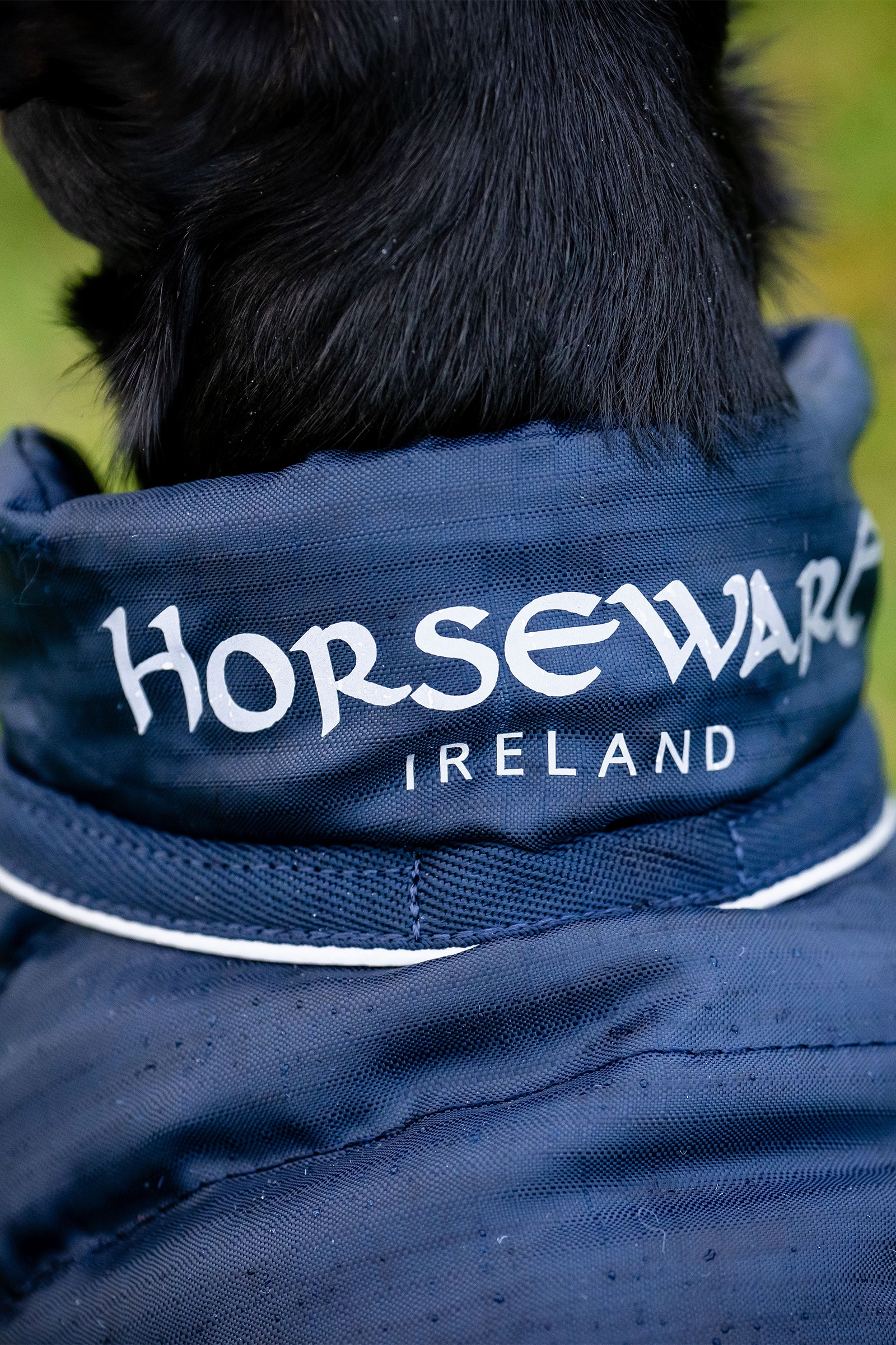 Capa de lluvia para perros Horseware Signature