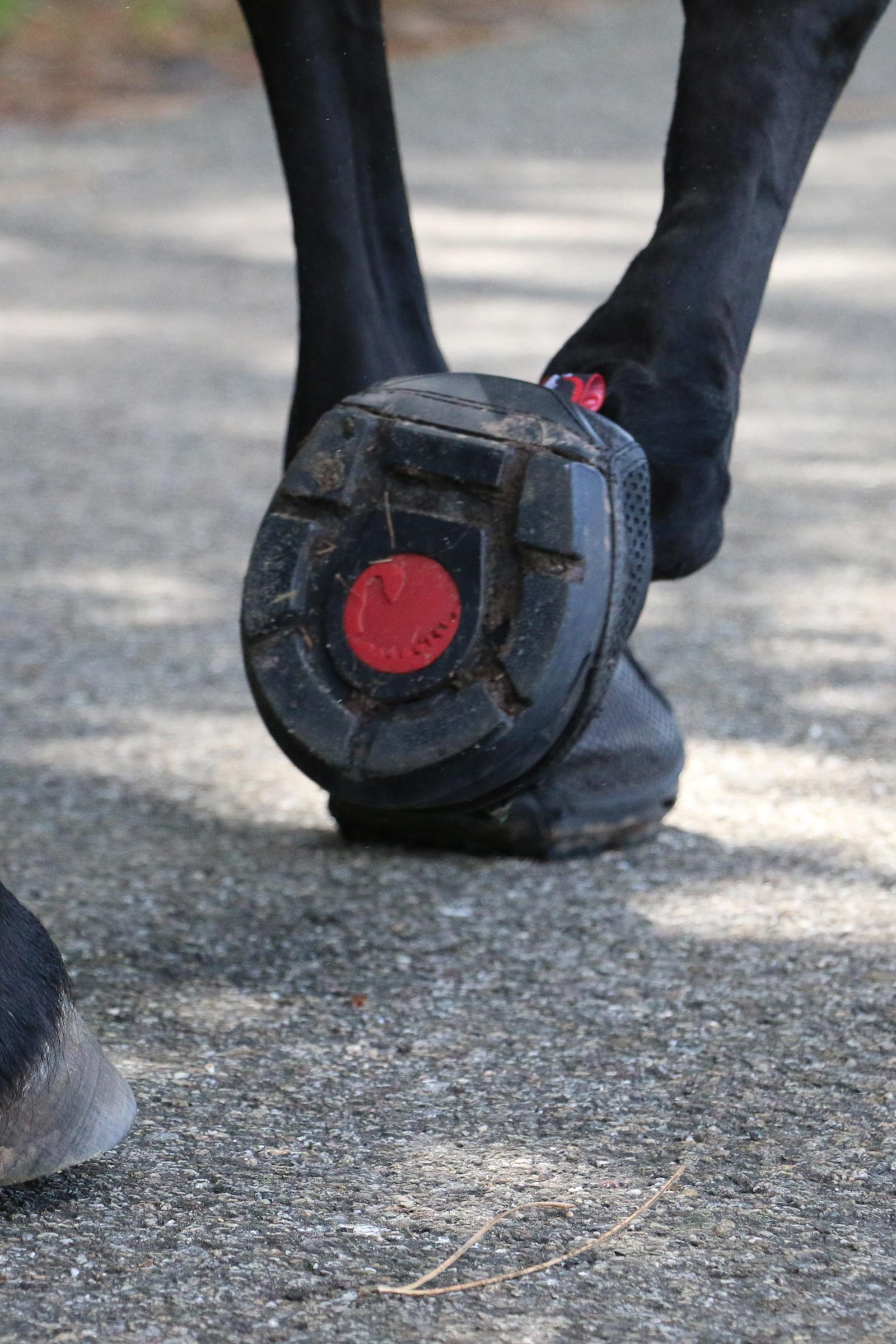 Cavallo Hoof Boots F.R.A. Trek zapato cavallo (estrecho/par)