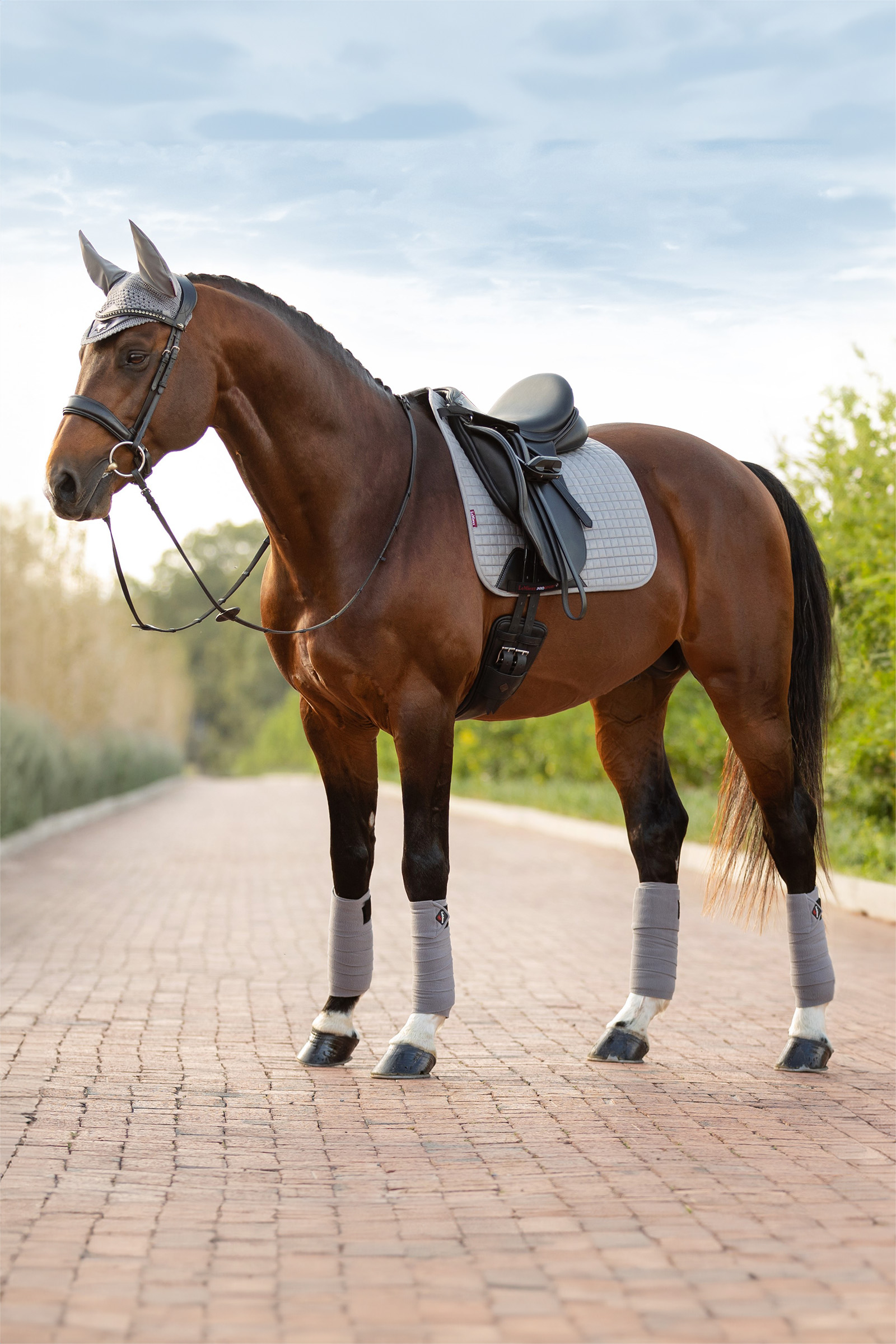 Grey LeMieux Suede mantilla doma