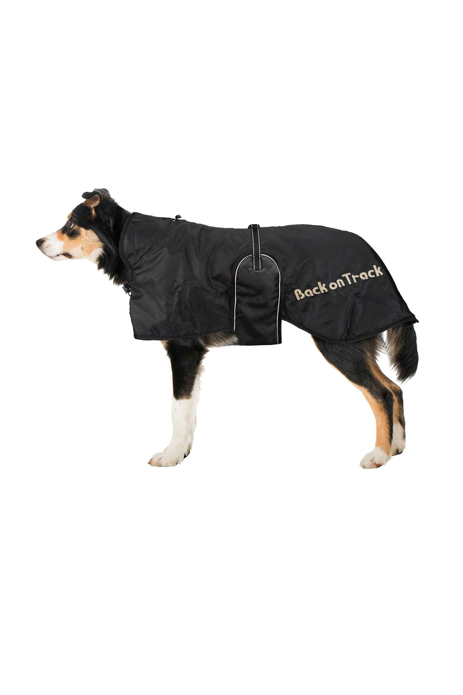 Manta para Perro Back on Track 43-59