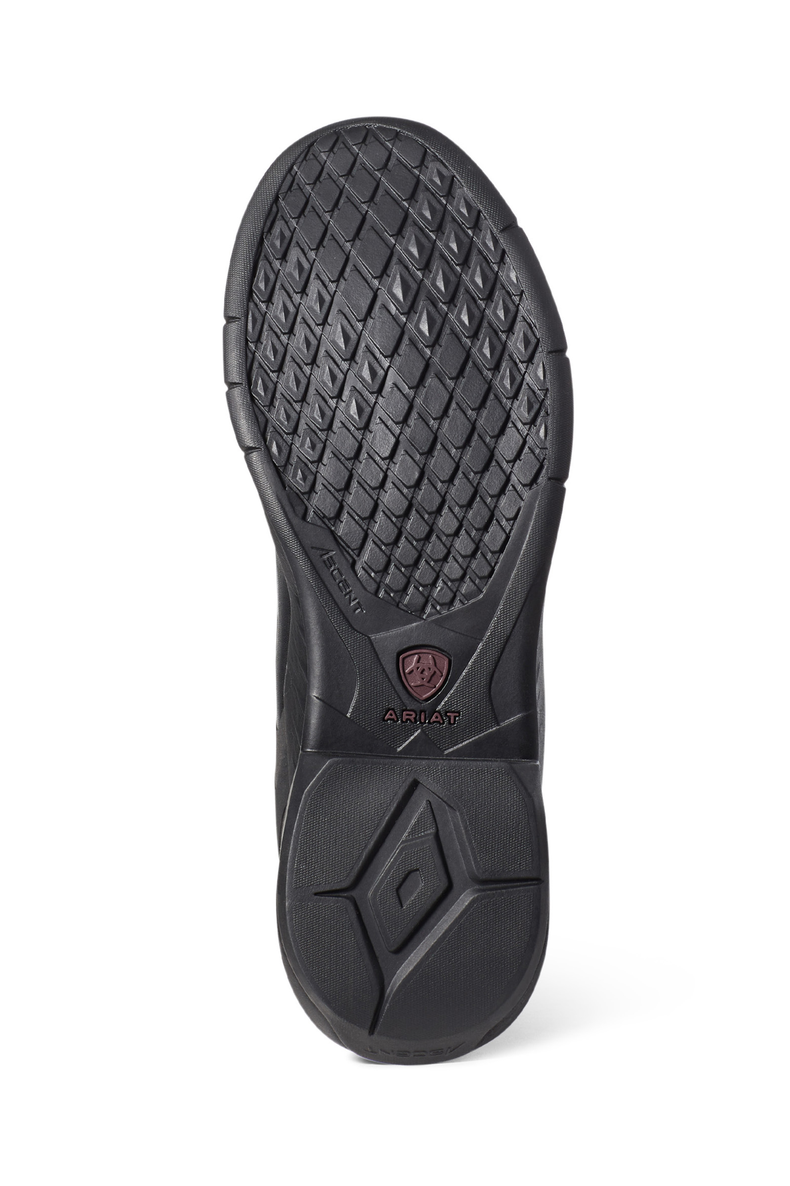 Ariat Ascent Botas Altas de Equitación para Mujer 