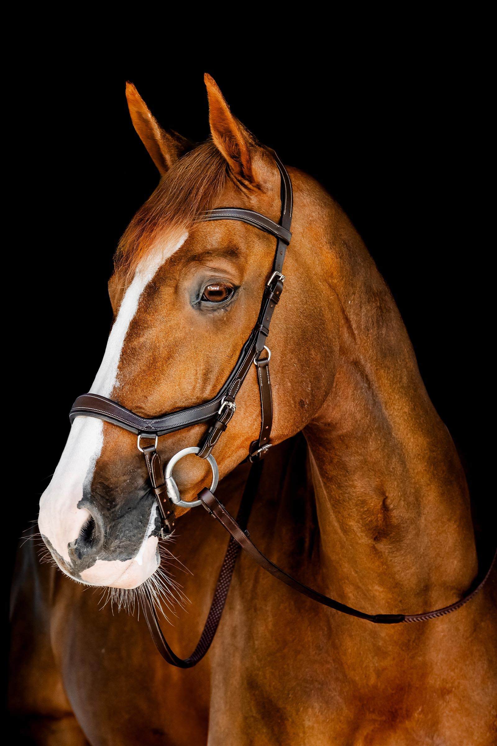 Horseware Rambo Micklem cabezada de competici&oacute;n