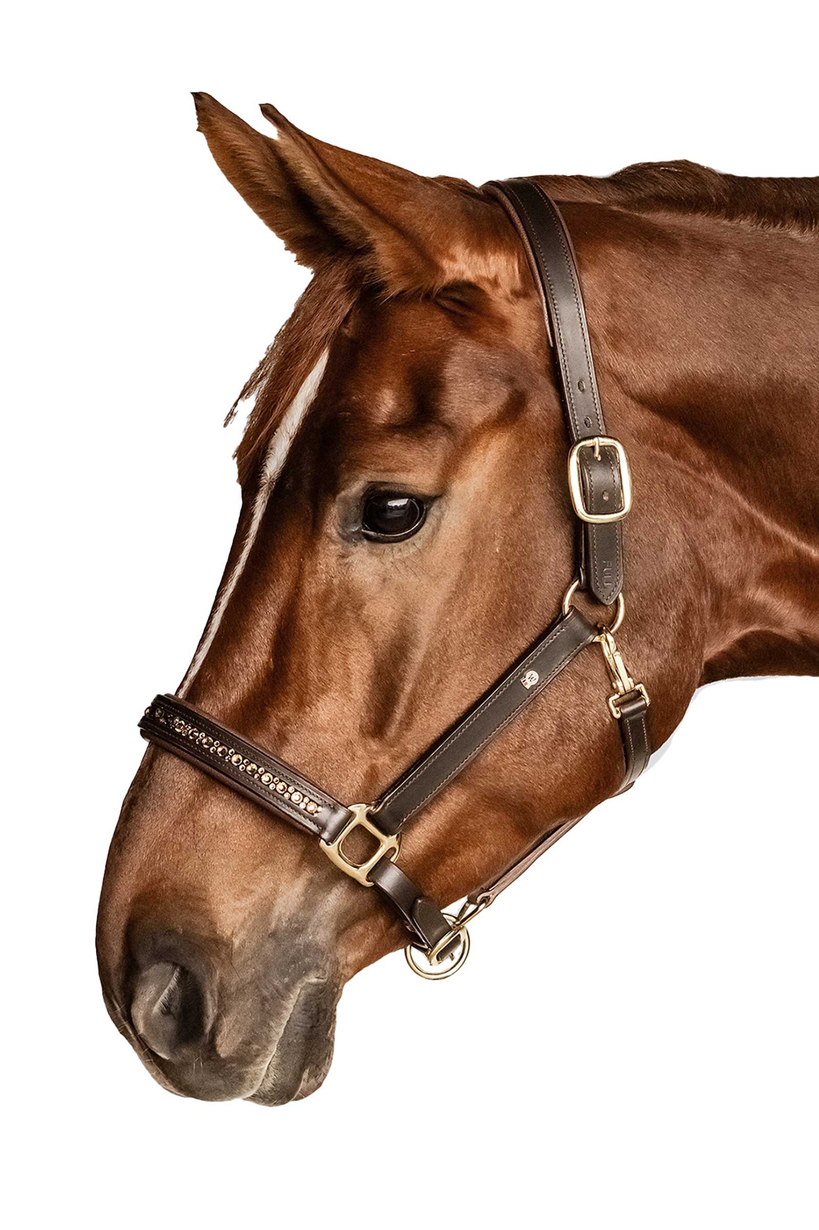 Waldhausen X-Line Crystal Cabezada de cuero