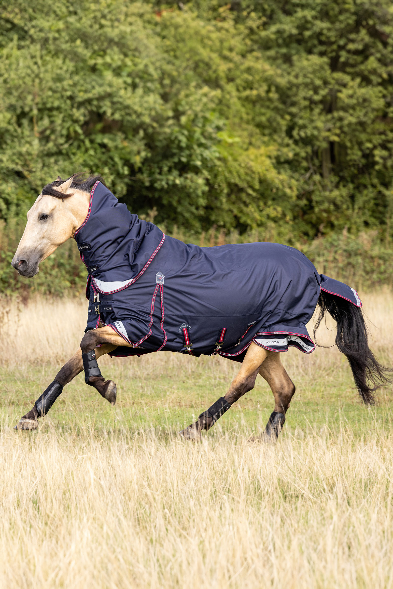 LeMieux Kudos manta ligera de exterior 100g