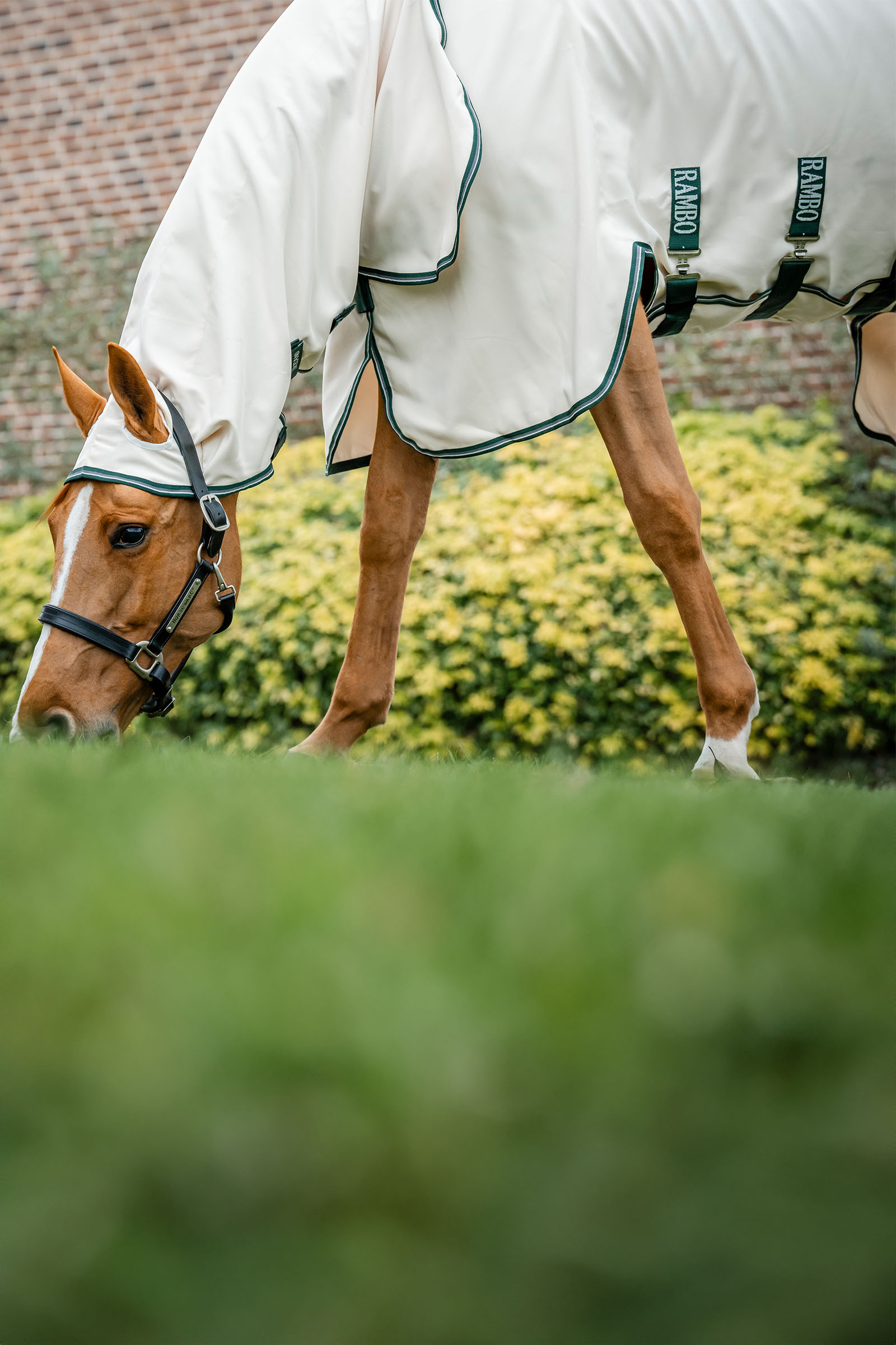 Horseware Rambo capucha