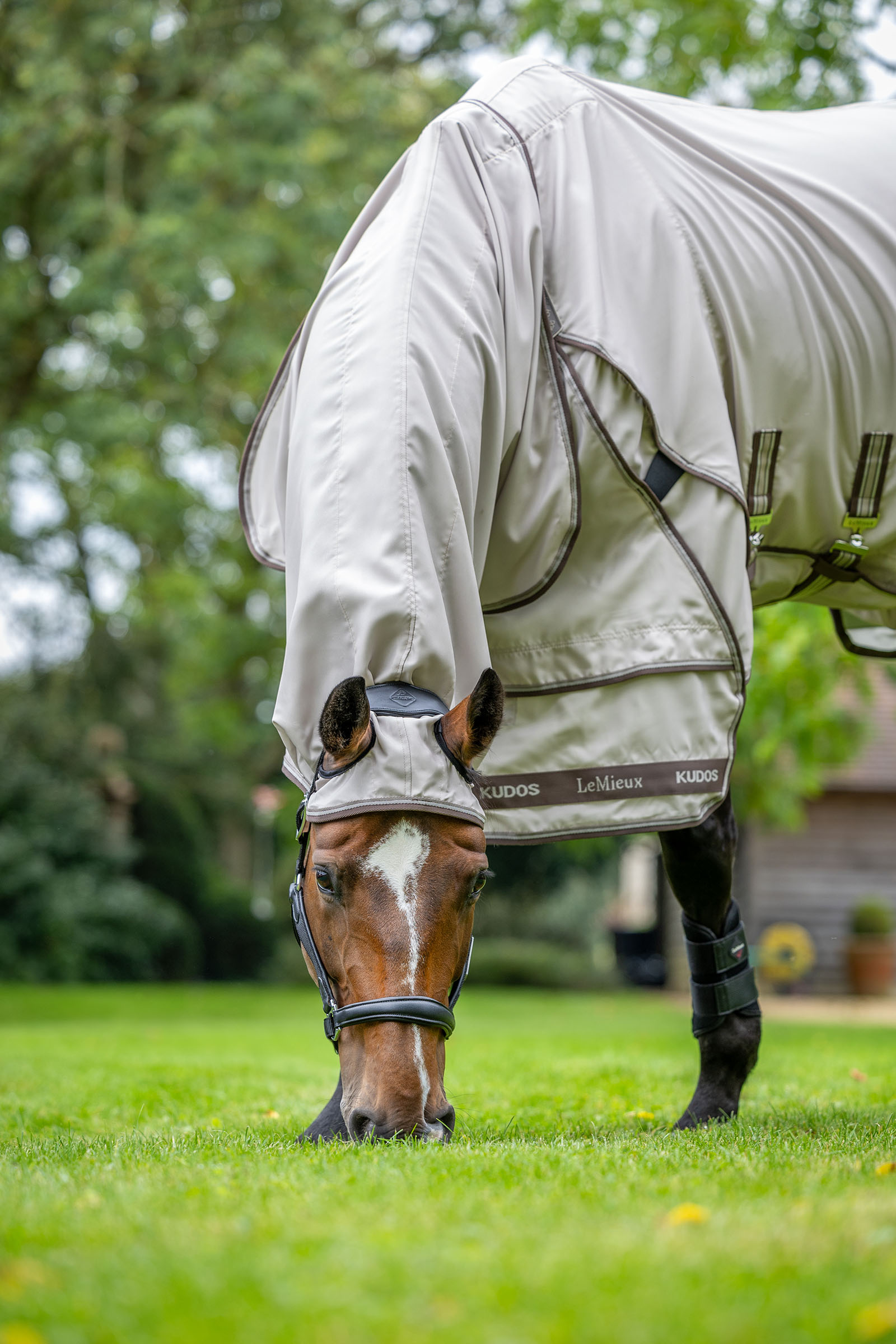 LeMieux Kudos manta para eccema estival