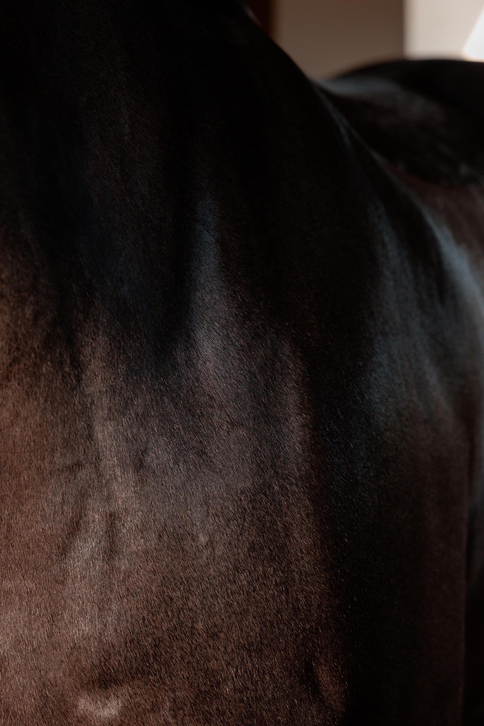 Grooming Deluxe Gel brillo almendra Super Shine, 250 ml