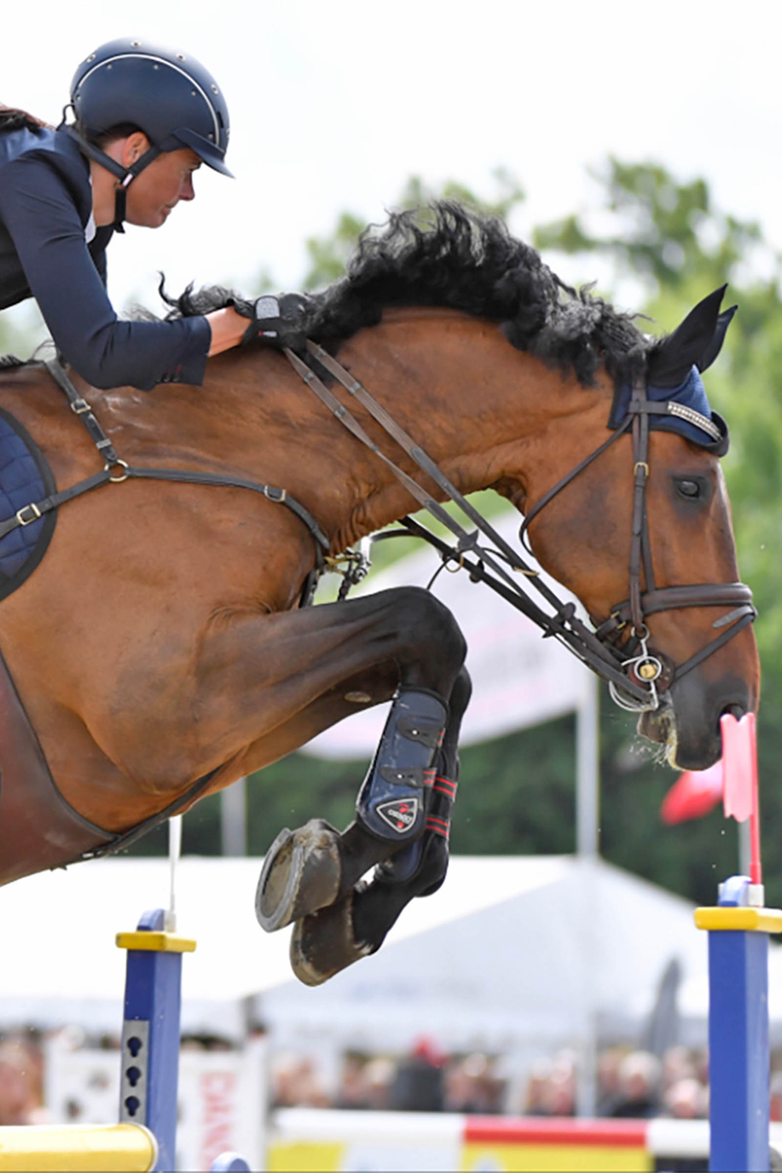 Protectores de Tendón Catago FIR-Tech