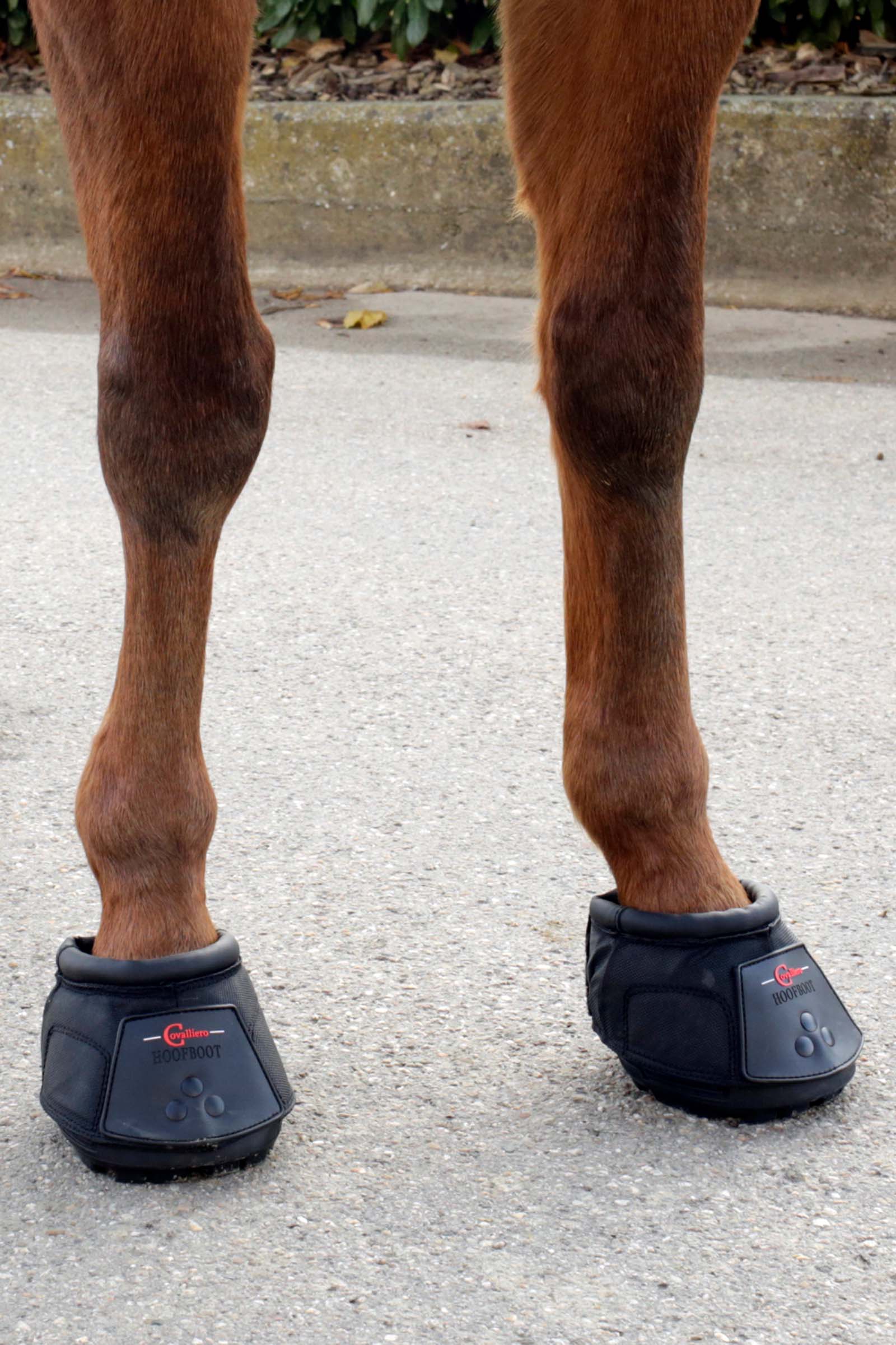 Herradura Covalliero (1 Pieza)