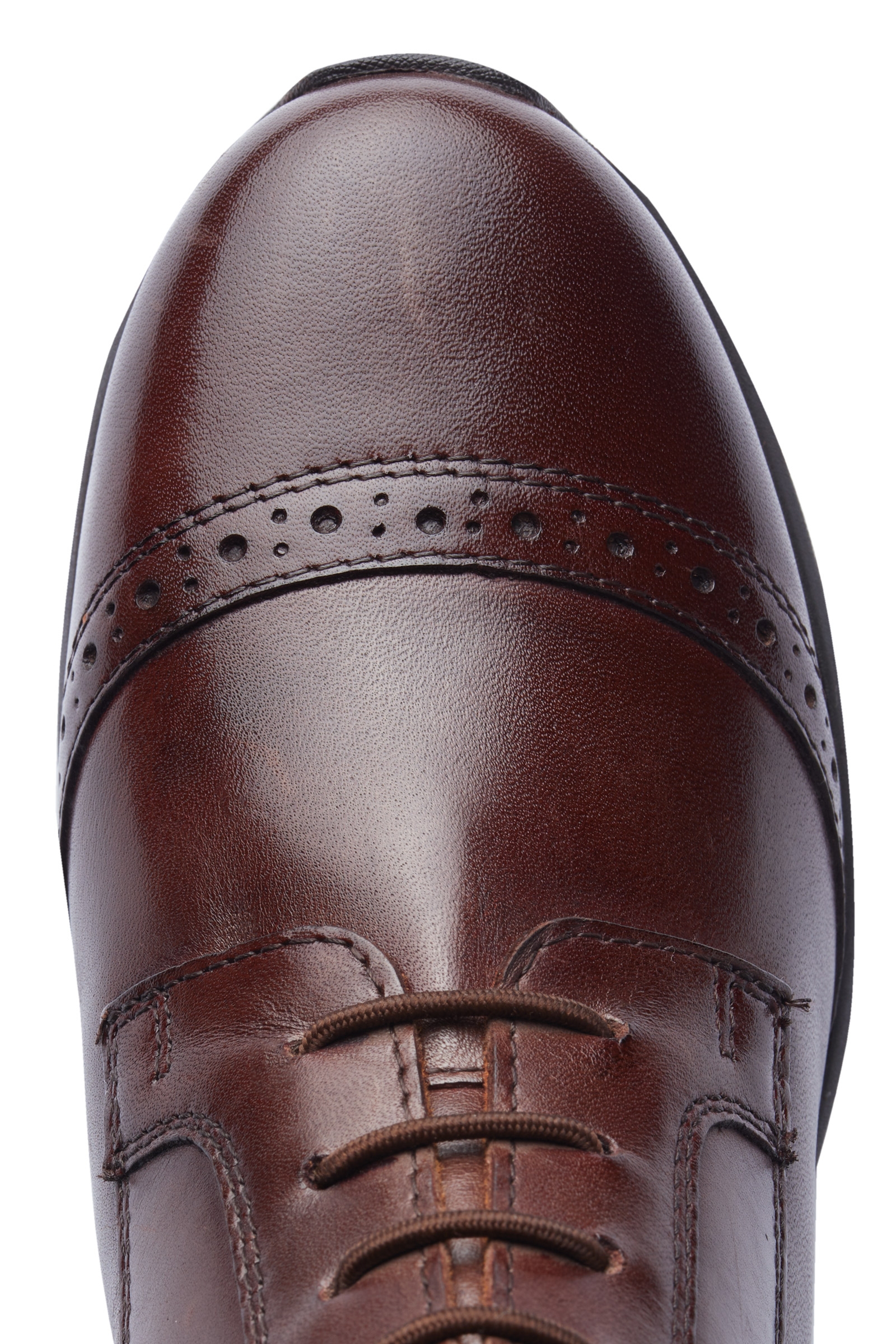 Botines de Equitación Horze Wicklow