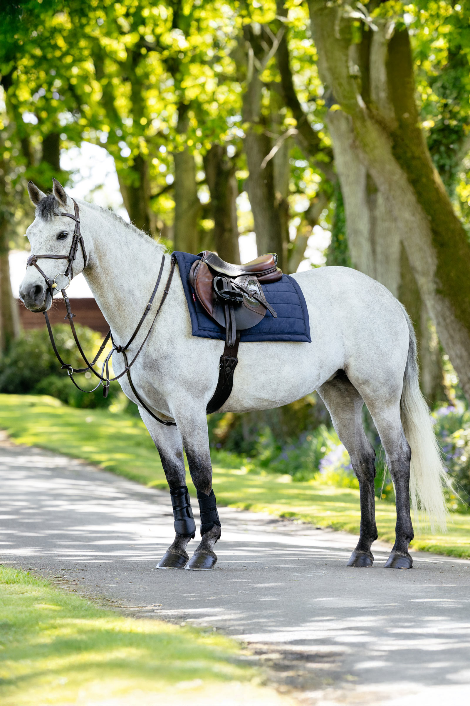 LeMieux Pillow mantilla uso general acolchada