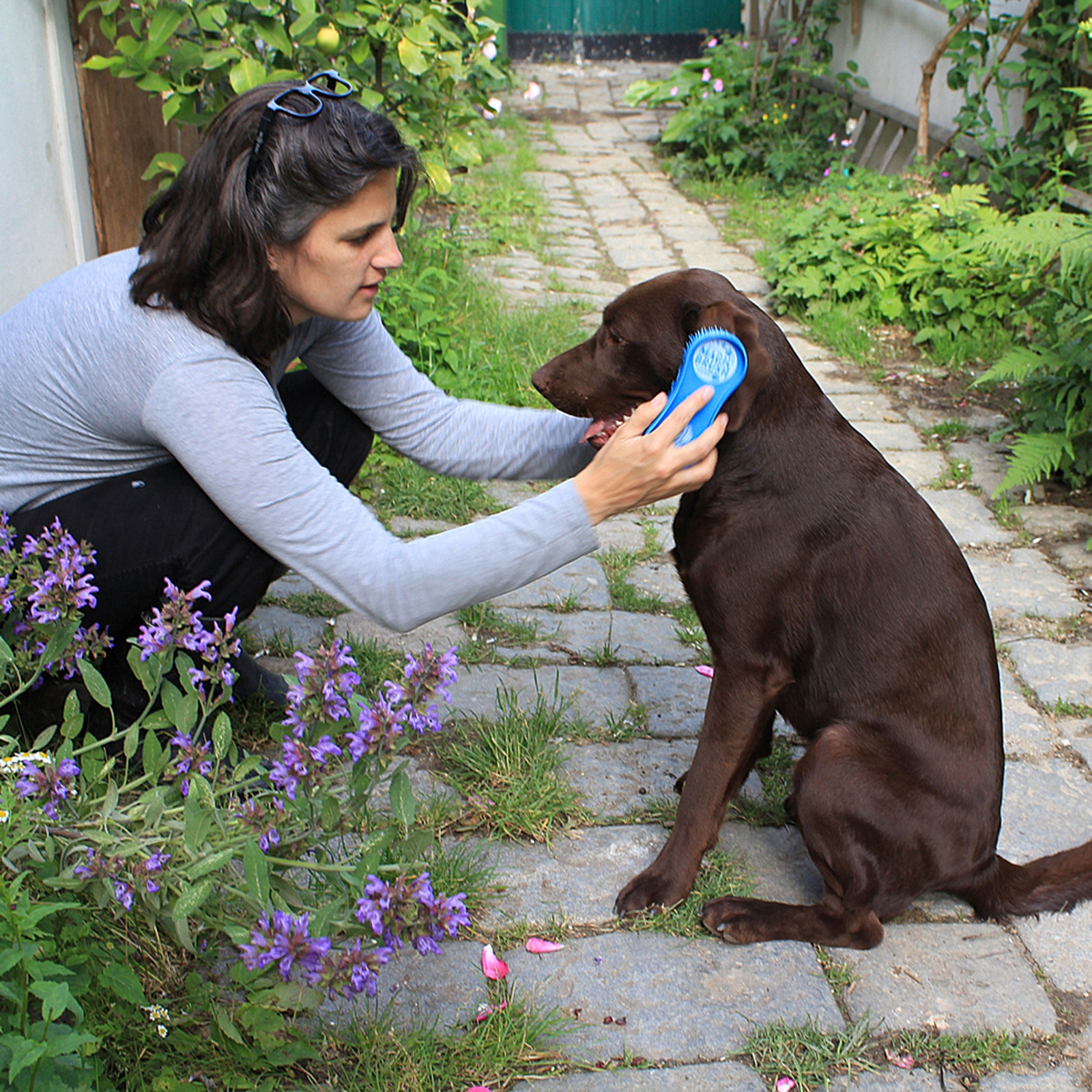 Cepillo m&aacute;gico para perros Kerbl