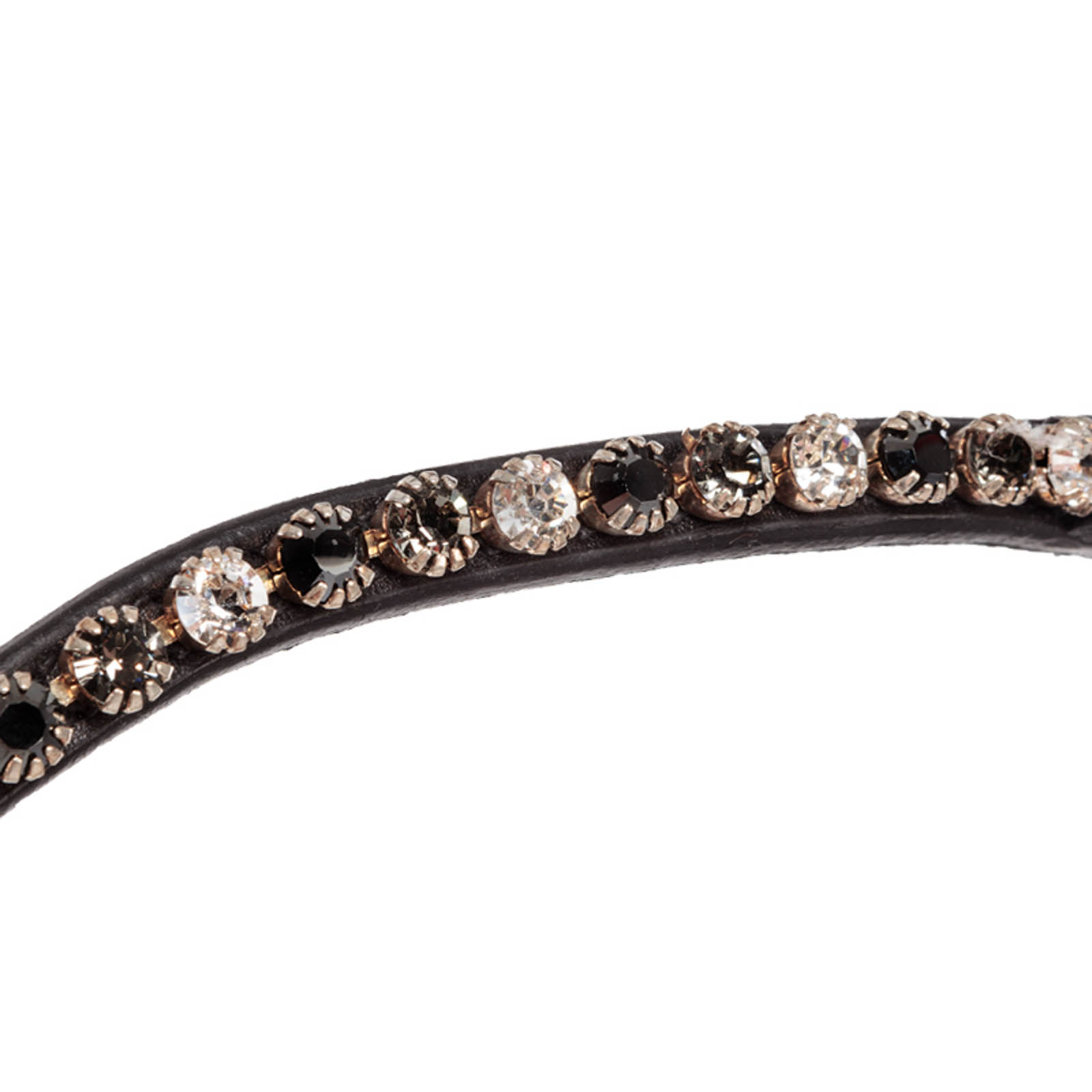 Cabezada Kavalkade Reyna KavalSH4