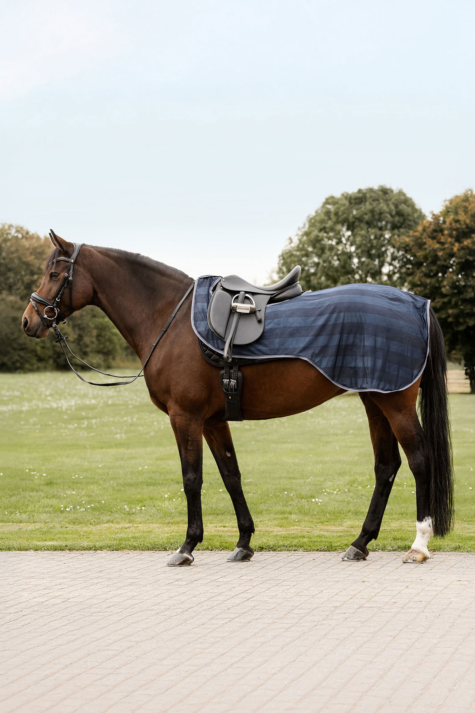 Night Blue Waldhausen Economic manta antimoscas para montar