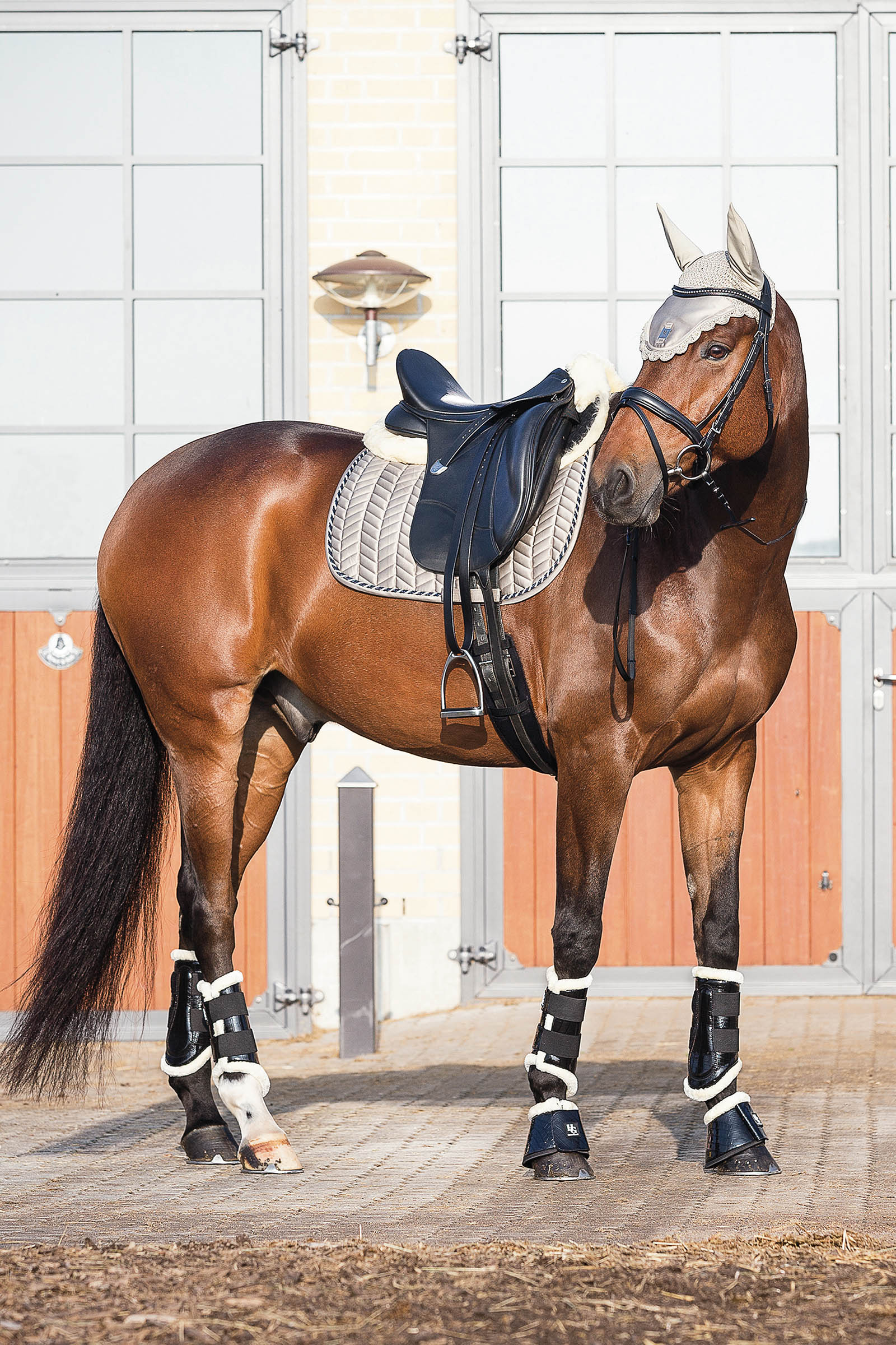 Salvacruz Horse Guard MediLamb