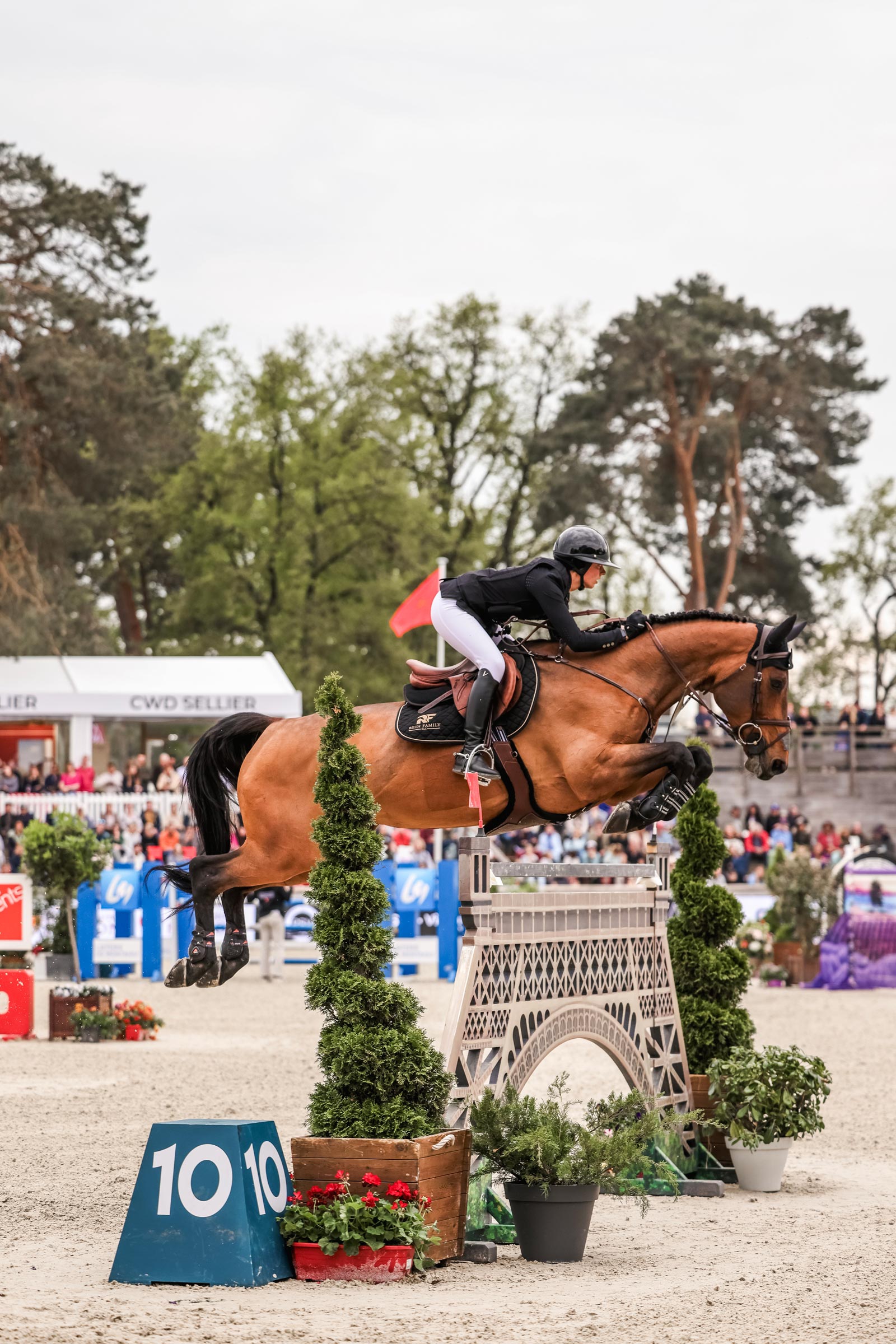 Horse Pilot Twist'Air 2.0 Chaleco Airbag