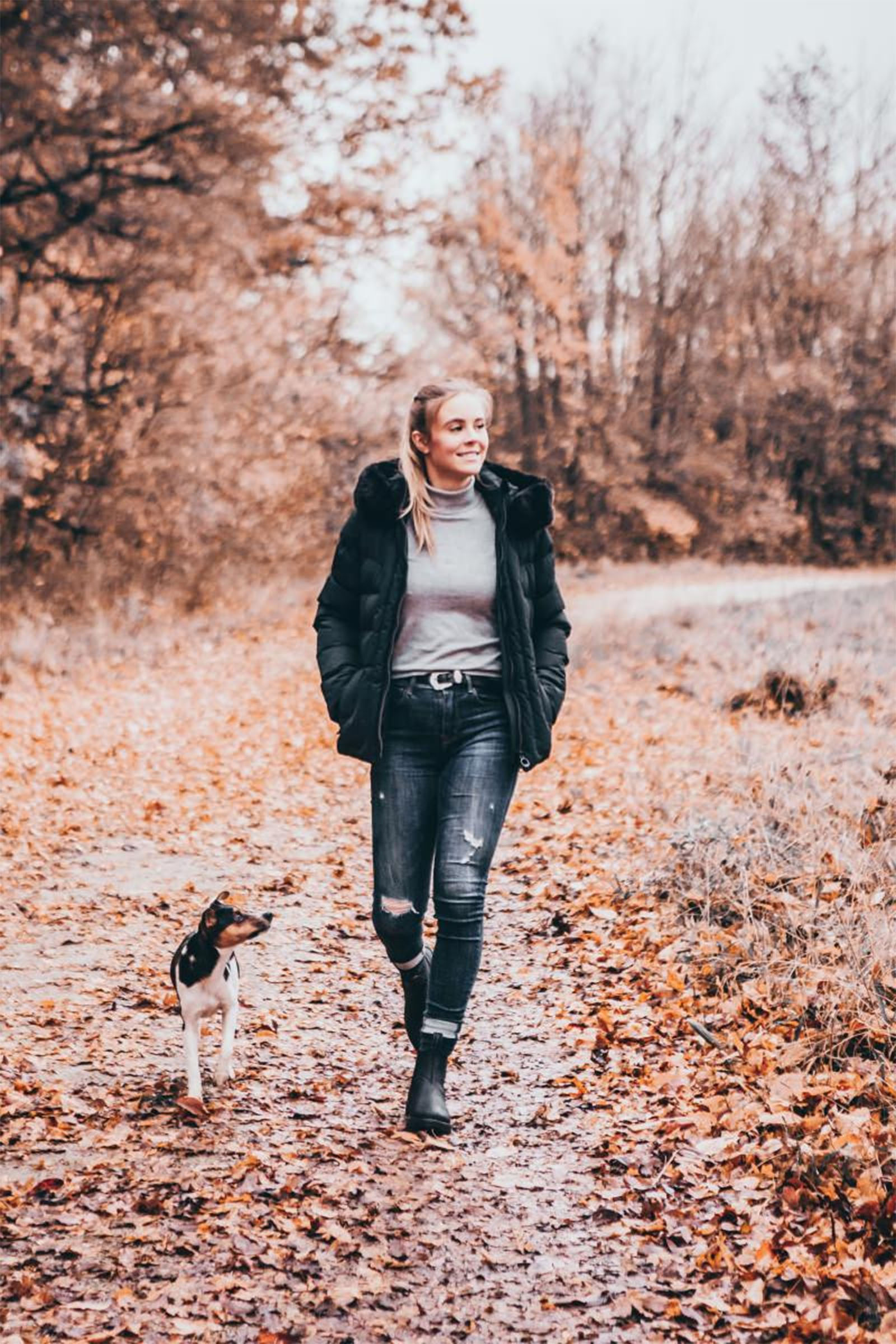 Suedwind Footwear New Work Botas Jodhpur Chelsea de Invierno