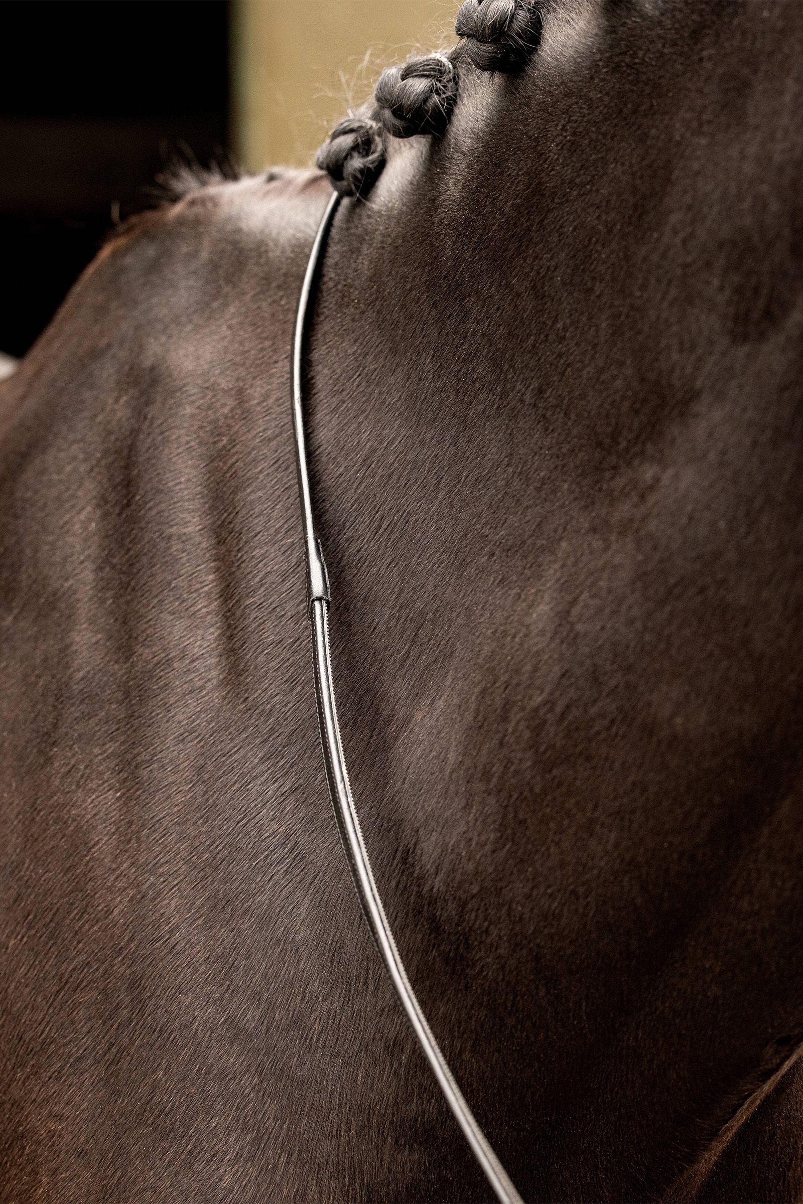 Riendas Medio Revestidas de Goma LeMieux